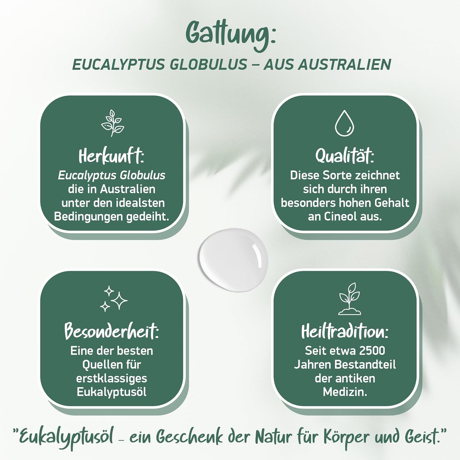 Thumbnail 6 de BIO Eukalyptusöl [BIO-ZERTIFIZIERT] 100% naturrein – vielseitig einsetzbar für Ernährung, Aromatherapie, Inhalation und Sauna