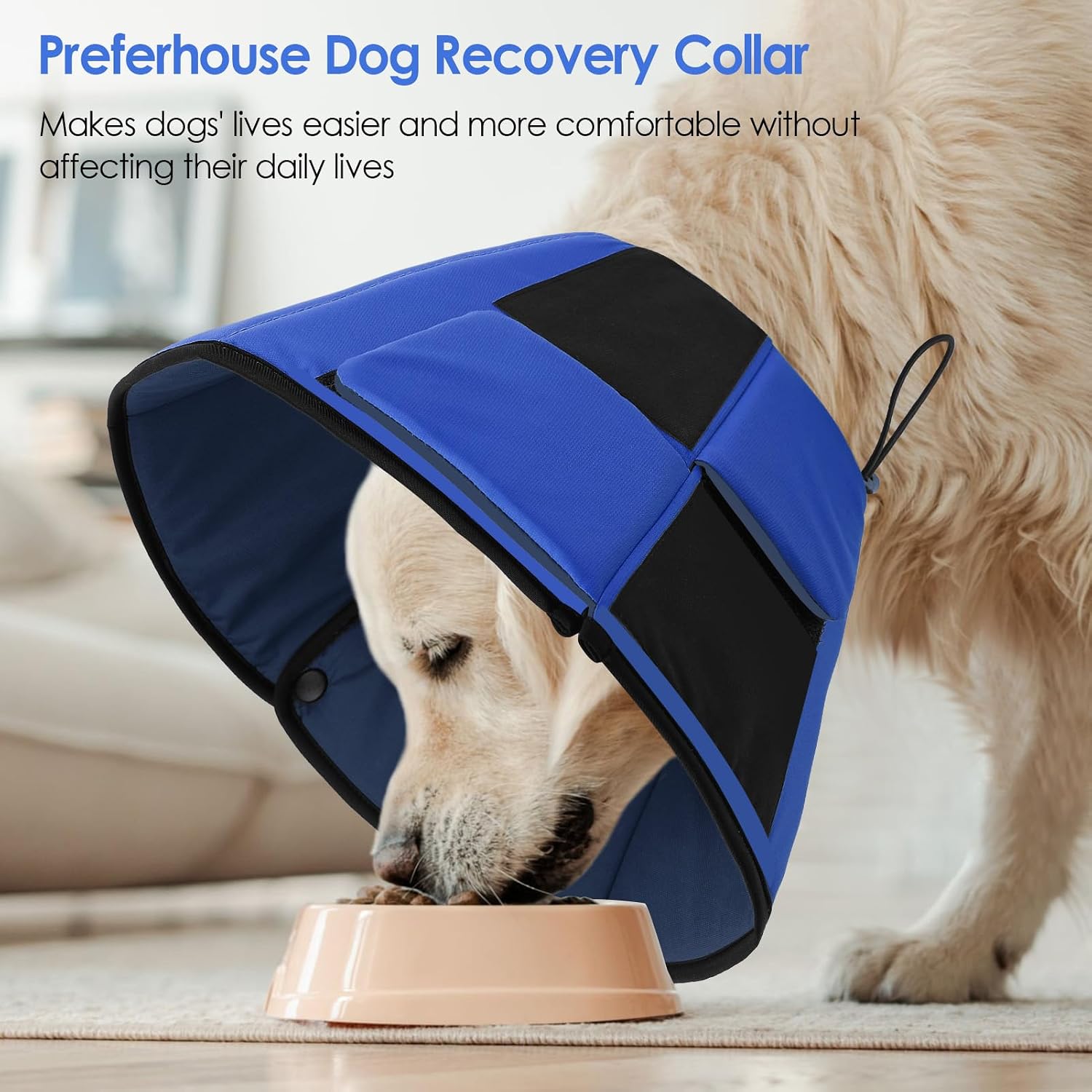 Thumbnail 5 de Preferhouse Small Dog Cone Collar adjustable S