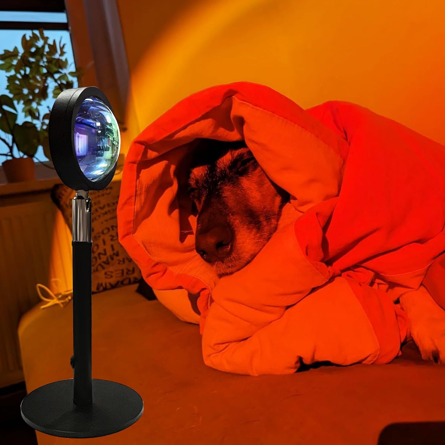 Detalle de GY Sunset Lamp: 4 Farben Sunset Lamp mit USB, 180° Schwenklicht für Fotos, Selfies und Wohnraumdekoration