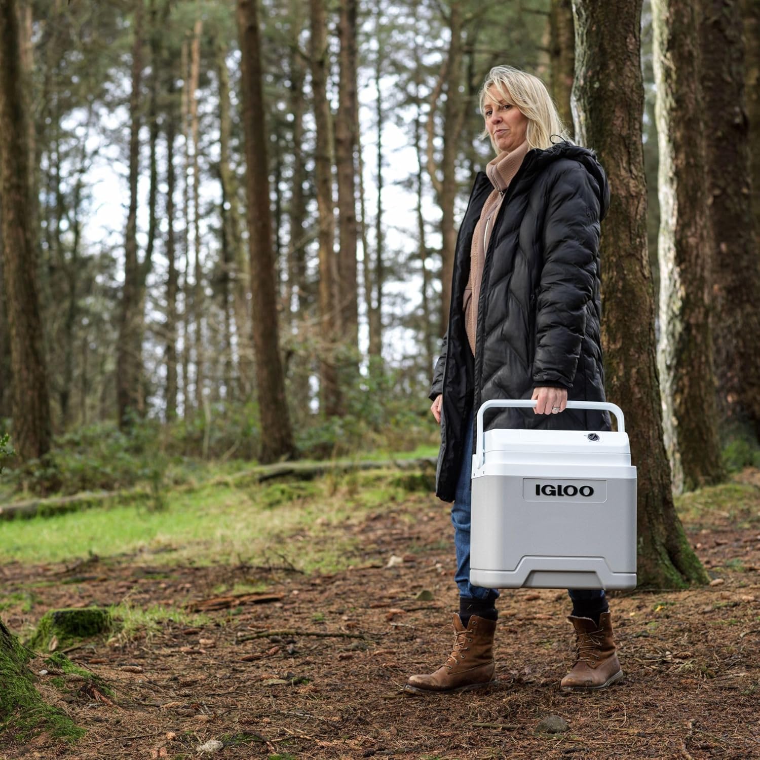 Thumbnail 4 de IGLOO IE27 AC/DC Mini Nevera Eléctrica 27L para Coche