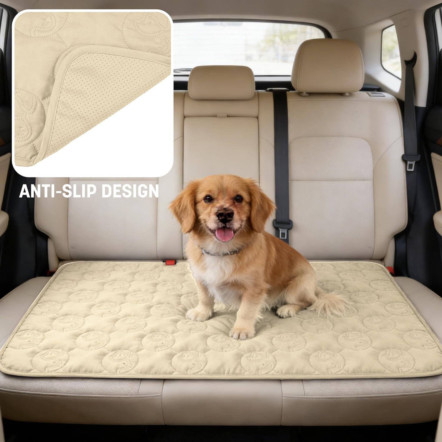 Thumbnail 3 de Pawsee Coperta impermeabile per cani 203 x 152 cm, copridivano lavabile antiscivolo