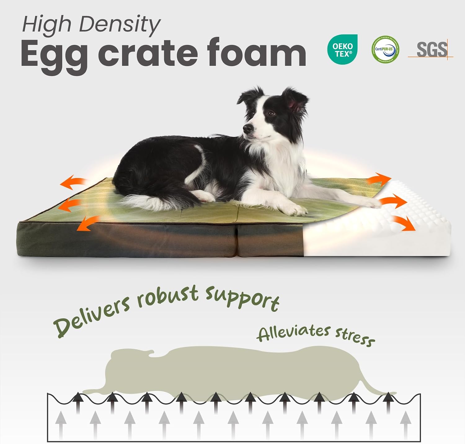 Detalle 2 de Laifug Foldable Outdoor Dog Bed 36 x 27 x 3.5 inches