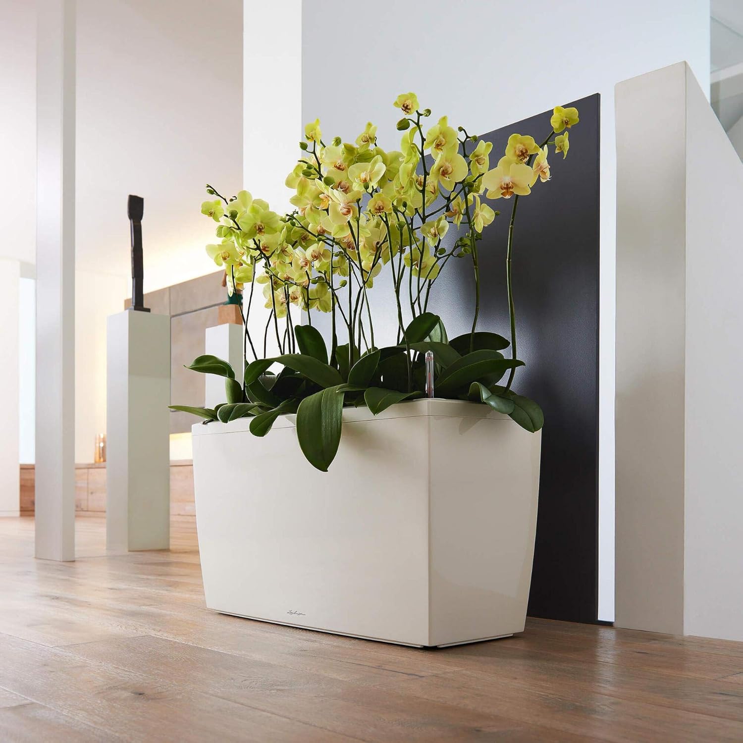 Thumbnail 5 de Lechuza Pot de Fleurs d'Intérieur Premium Cararo – Réserve d'Eau Intégrée, Blanc, 75 x 30 x 43 cm
