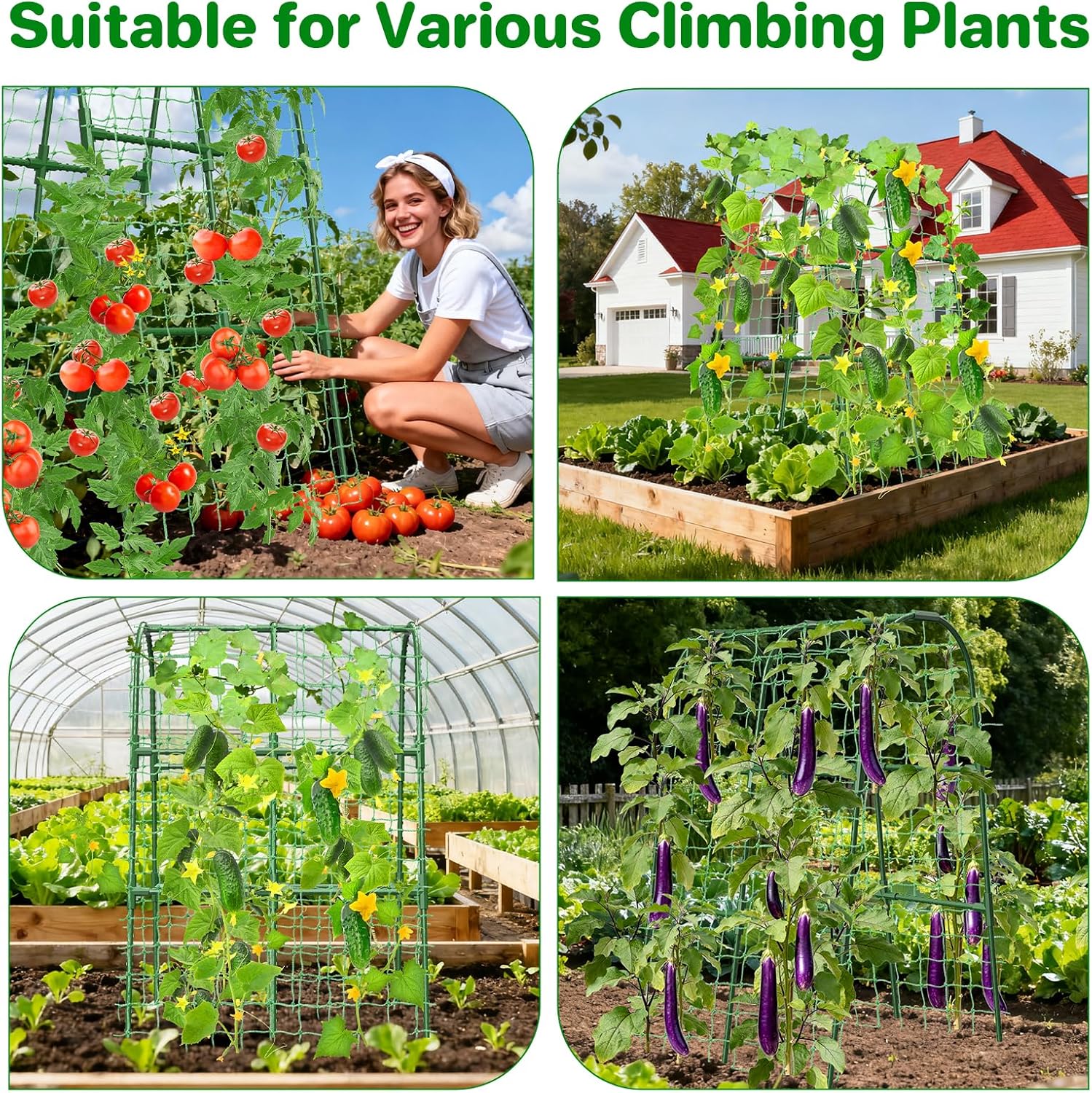 Thumbnail 5 de Cucumber Trellis 80 x 120 cm U-shape