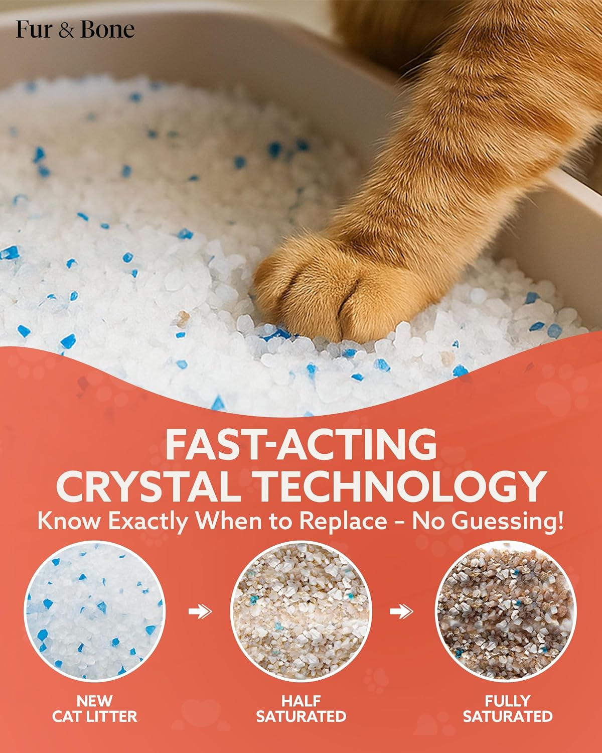 Detalle de Fur & Bone 7.6L Silica Cat Litter – Non-Clumping Crystals for Odour Control and Easy Cleaning