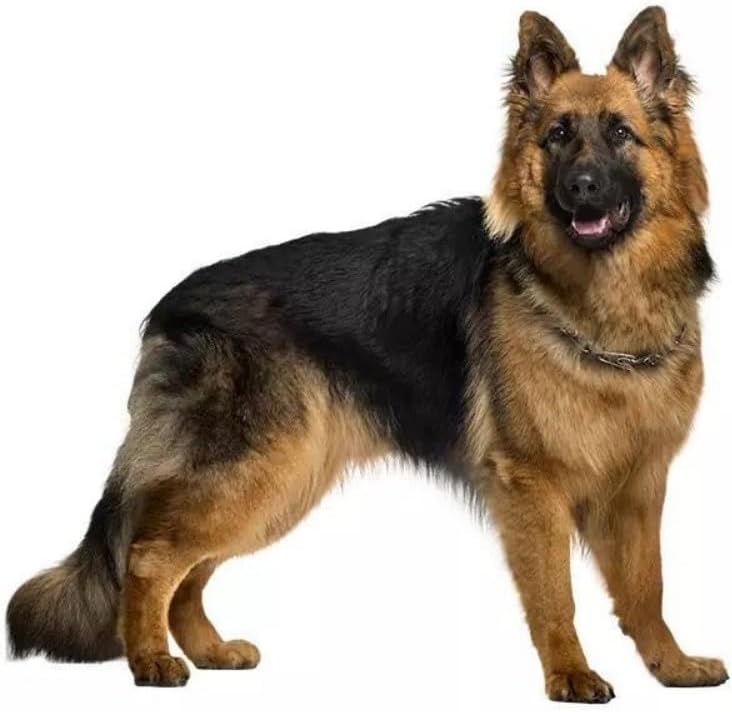 Thumbnail 6 de Autoaufkleber Deutscher Schäferhund 22 cm – wasserdicht, selbstklebend, DIY-Dekor (D013)