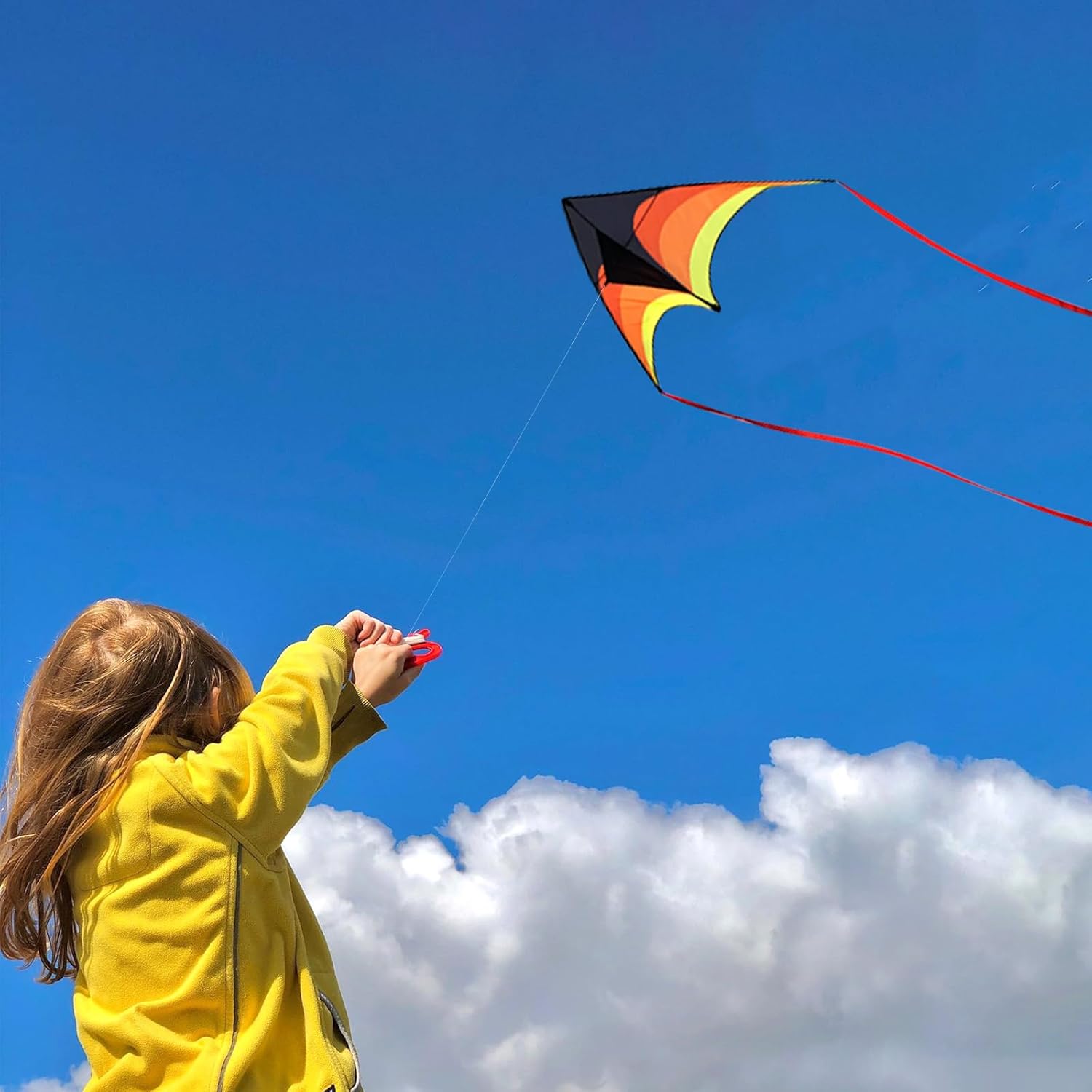 Thumbnail 2 de Kaiciuss Delta Kite for Kids & Adults (60") with 7.1" Kite Reel and 300ft String