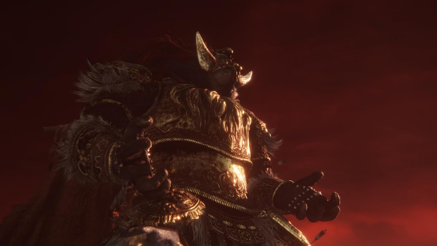 Detalle 2 de ELDEN RING Tarnished Edition (SWITCH 2) – Bandai Namco