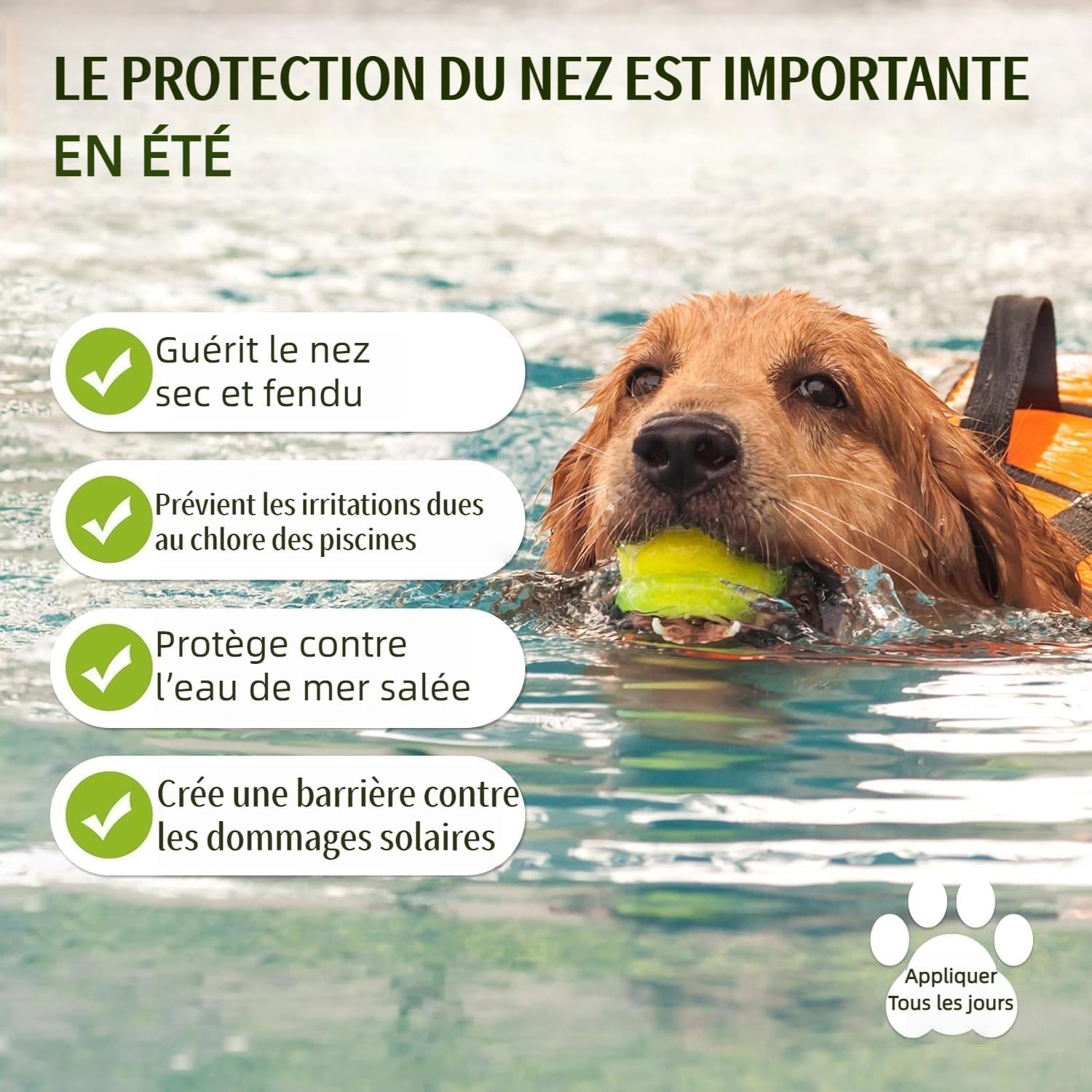 Detalle de Baume nasal naturel pour chiens et chats par GJYC PET – hydratant et cicatrisant