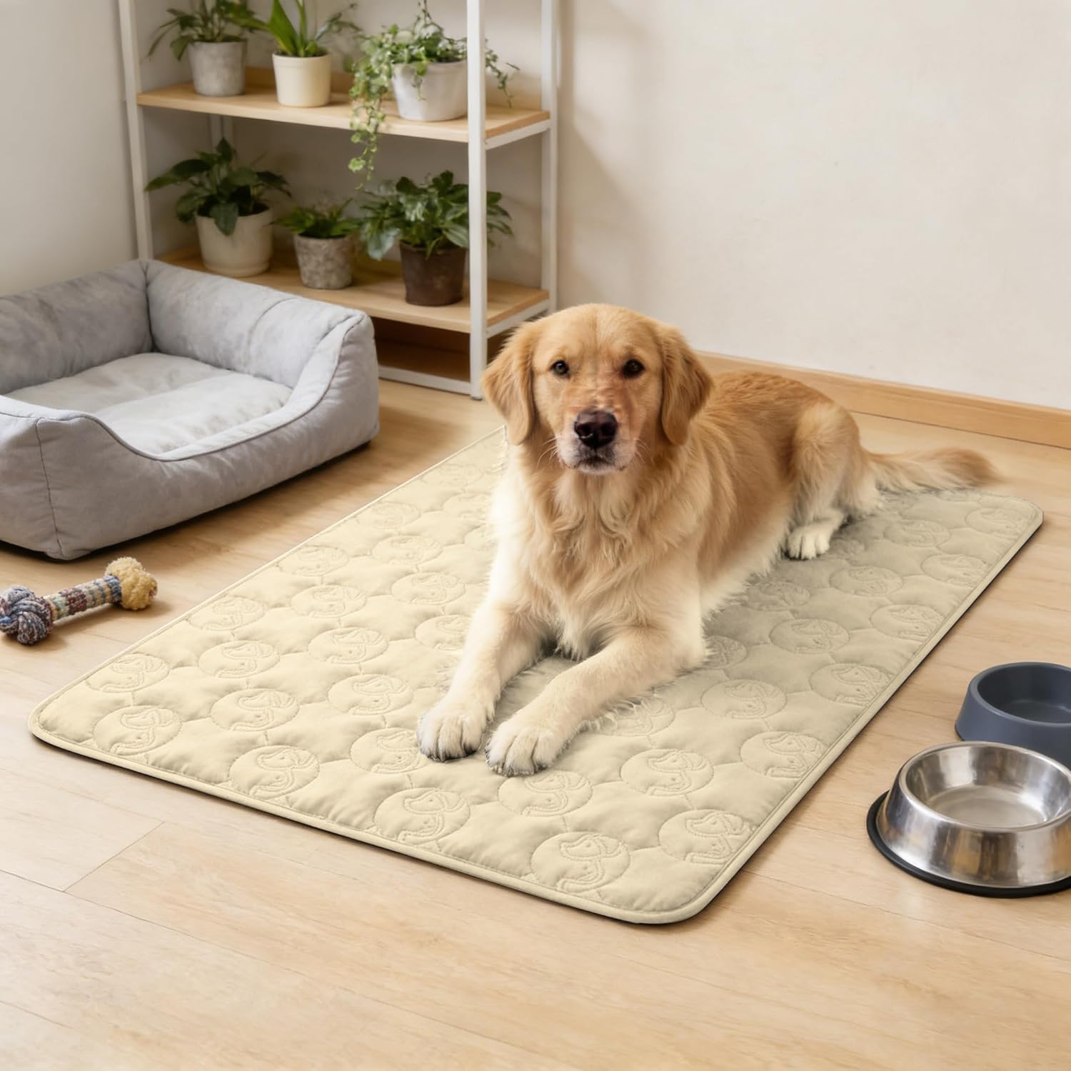 Thumbnail 1 de Pawsee Coperta impermeabile per cani 203 x 152 cm, copridivano lavabile antiscivolo