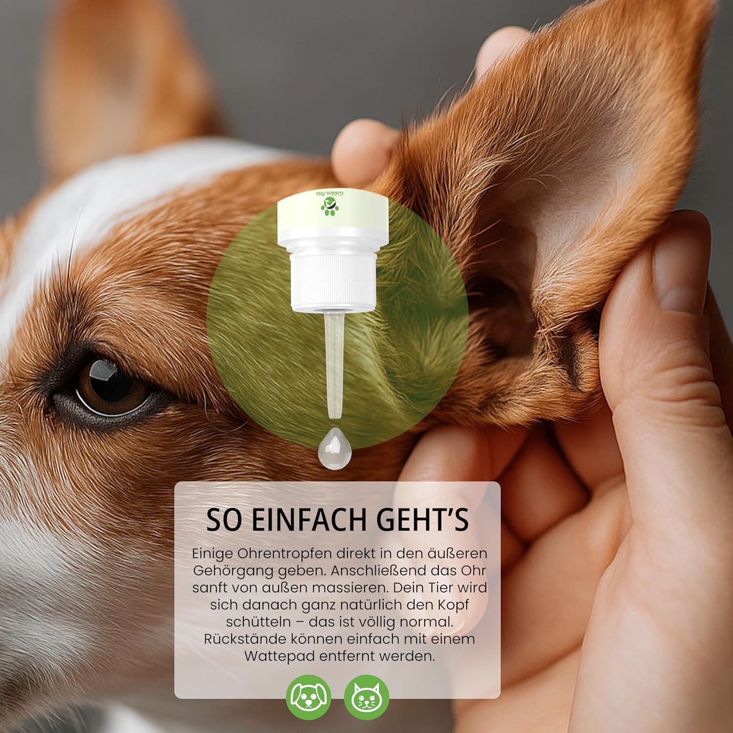 Thumbnail 3 de Golden Pets Ohrentropfen 50 ml für Hunde & Katzen
