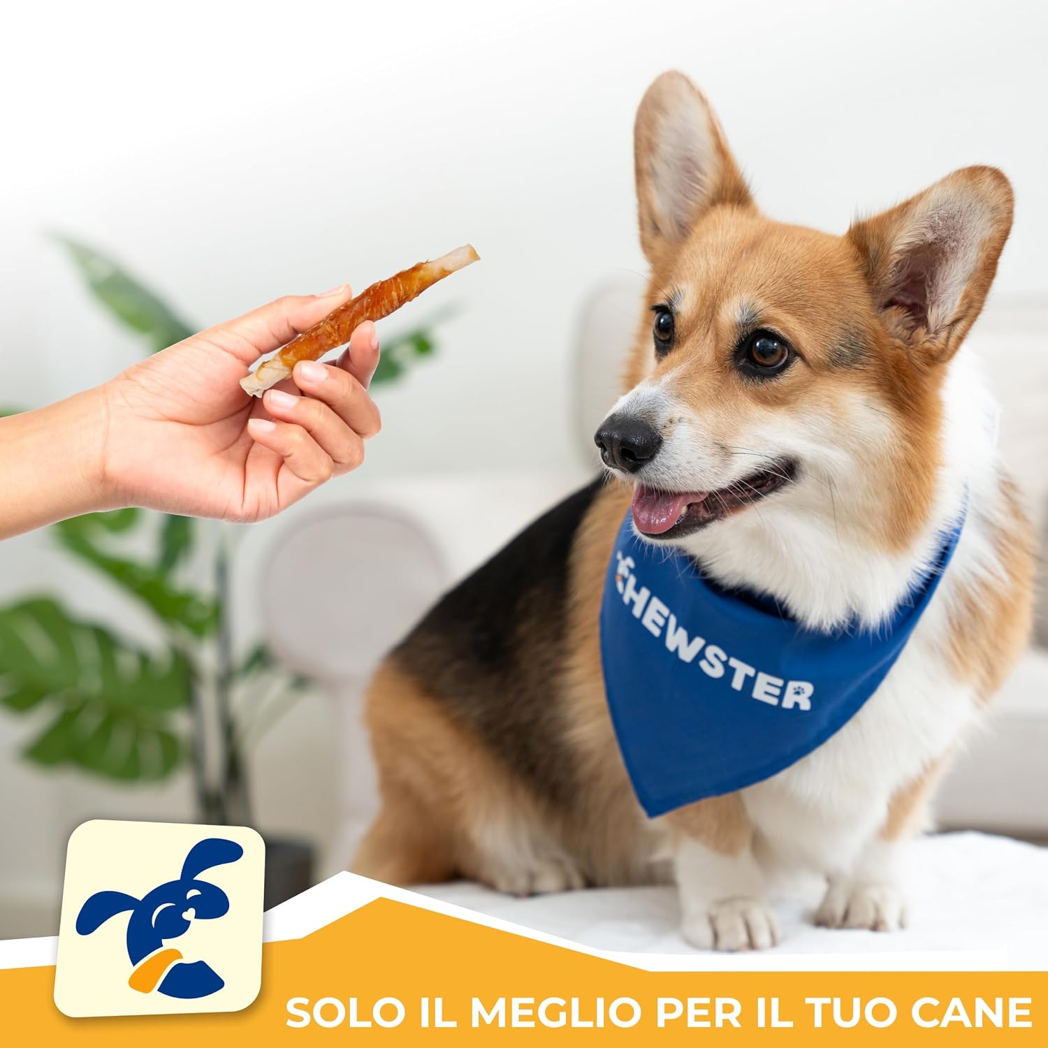 Detalle de CHEWSTER Bastoncini da masticare con Pollo – Snack per cani, confezione da 85 pezzi (800 g)