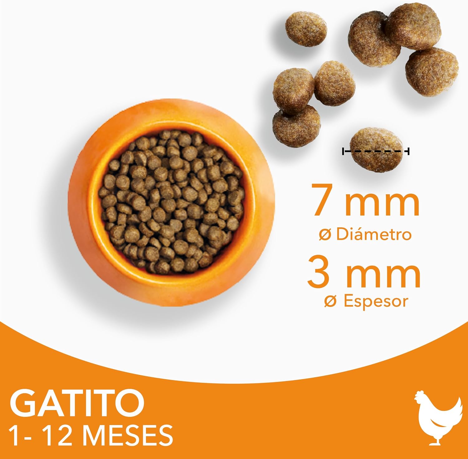 Detalle 2 de IAMS Alimento seco para gatitos 3 kg 🐱