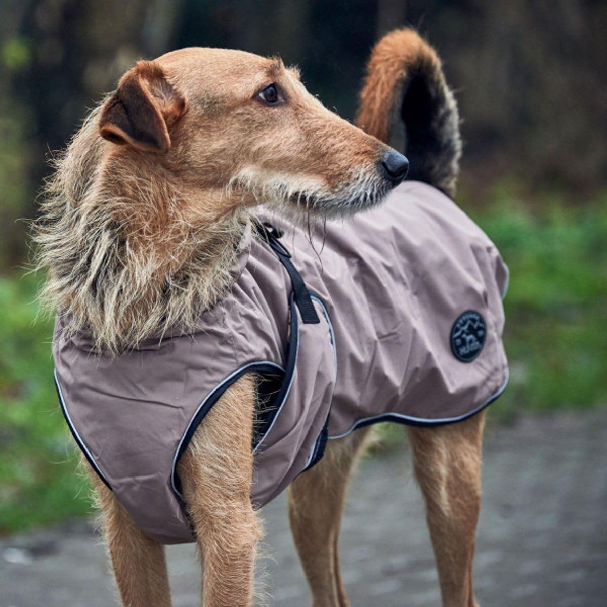 Detalle de Hunter Hundemantel Uppsala 2in1 – Taupe, Größe 47,5
