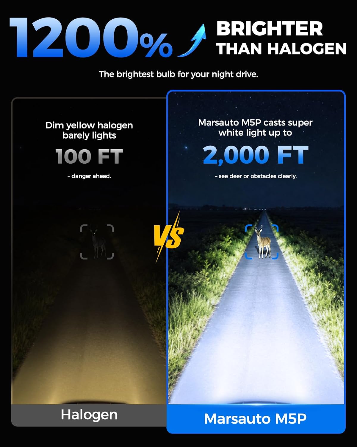 Detalle 2 de Marsauto 9005 Fog Light Bulbs