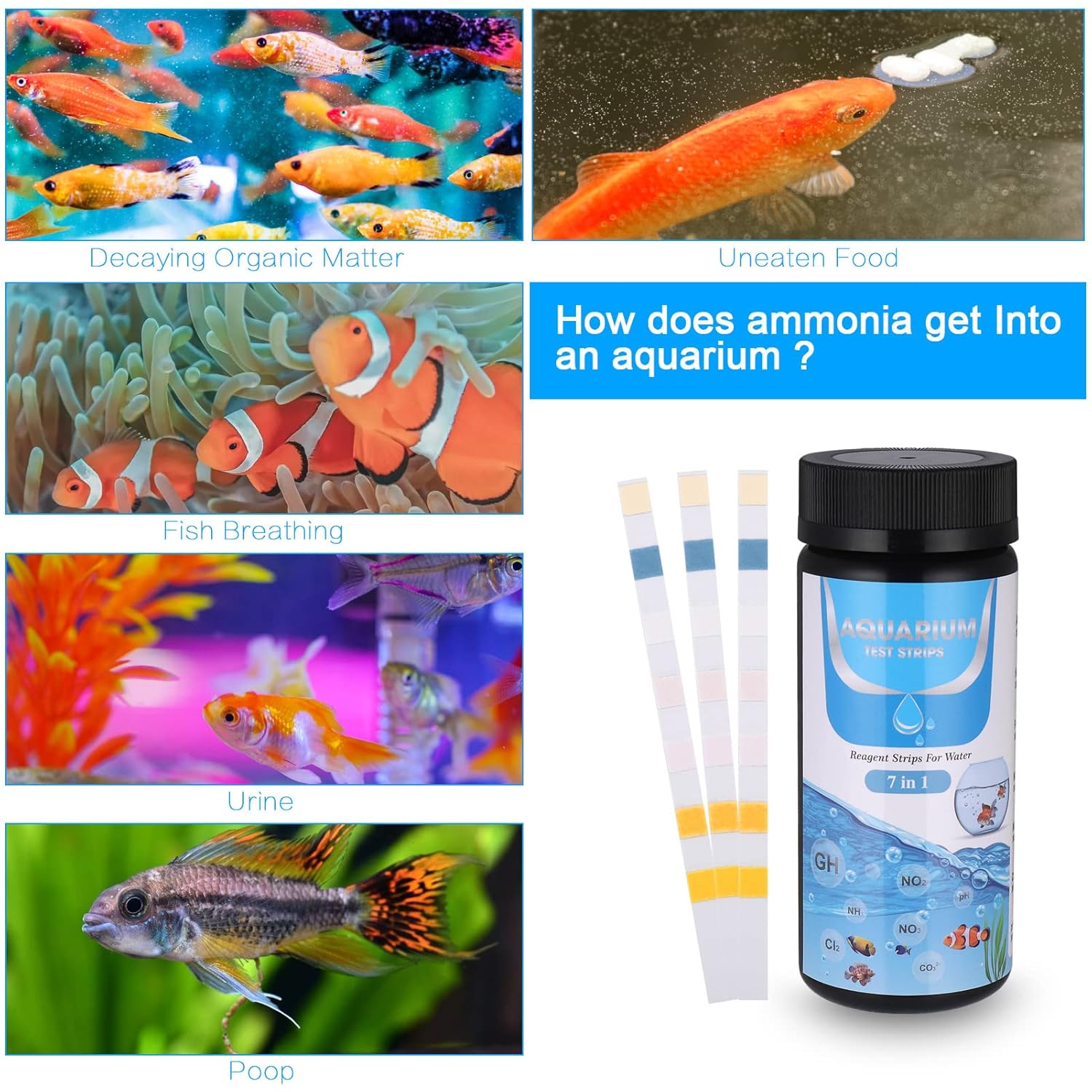 Detalle 2 de 150 Pcs 7-in-1 Aquarium Test Strips