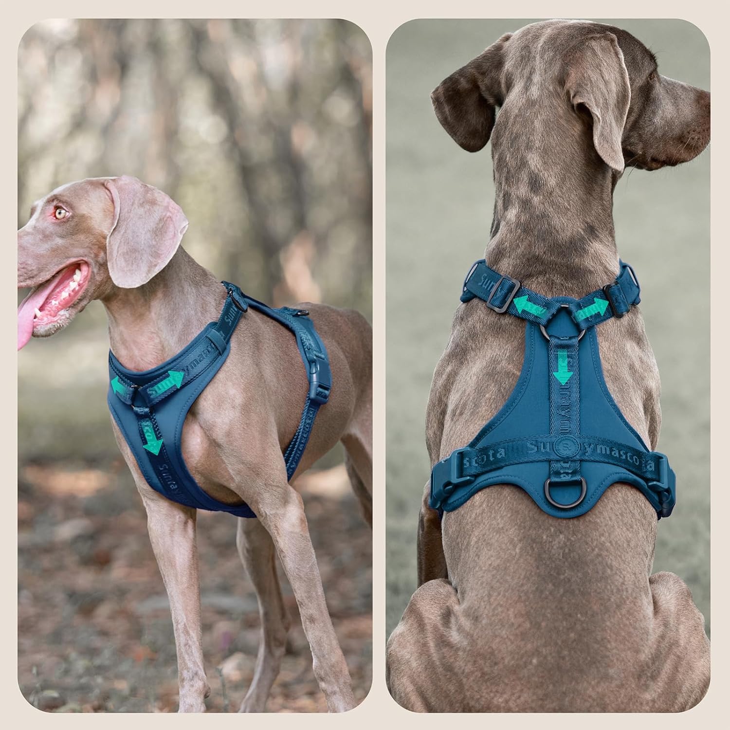 Thumbnail 1 de Sunraymascota Hundegeschirr mit weicher Lycra-Polsterung und Mesh-Komfort (Preußisch Blau, XS)
