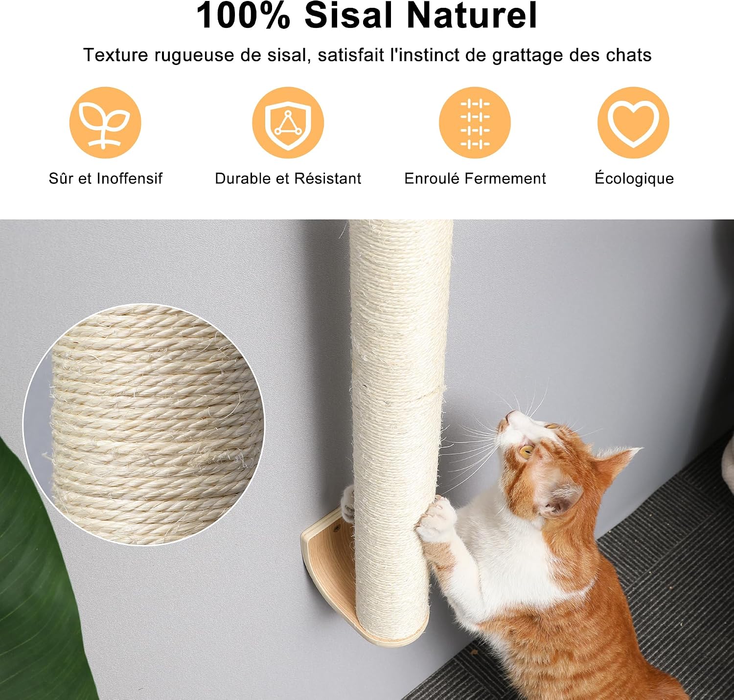 Detalle de FUKUMARU Griffoir pour Chat à 71 cm – Grattoir mural en sisal, poste vertical robuste