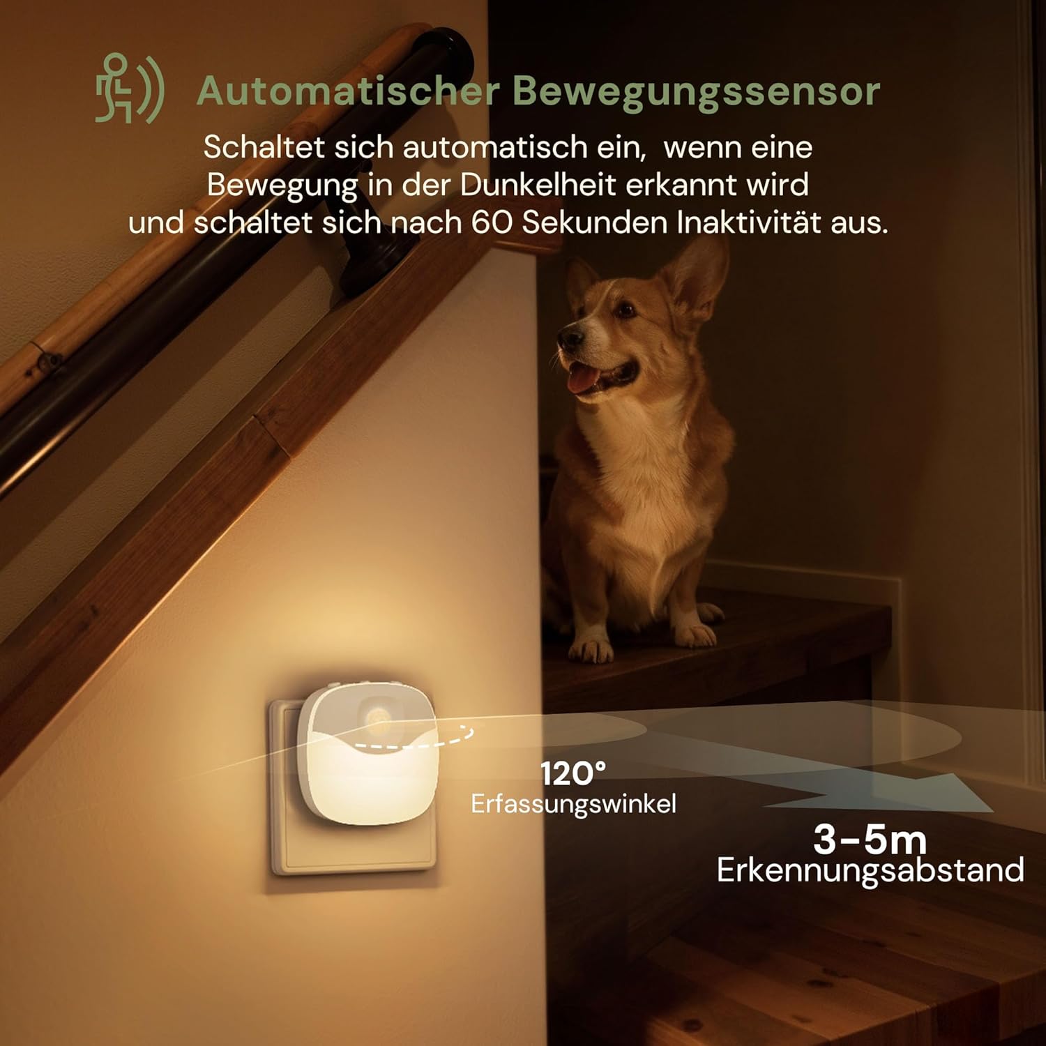 Thumbnail 4 de LOHAS-LED 2er Nachtlicht Steckdose mit Bewegungsmelder und Dämmerungssensor