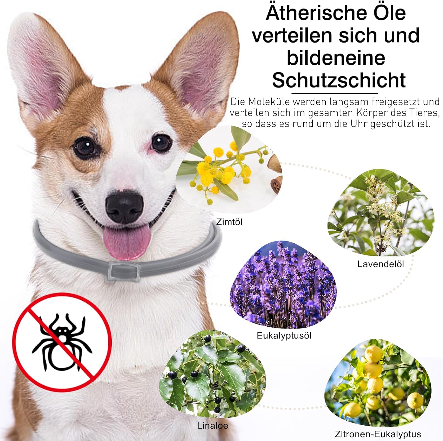 Thumbnail 3 de DEWEL Zeckenhalsband 63,5 cm für Hunde – 8 Monate Schutz