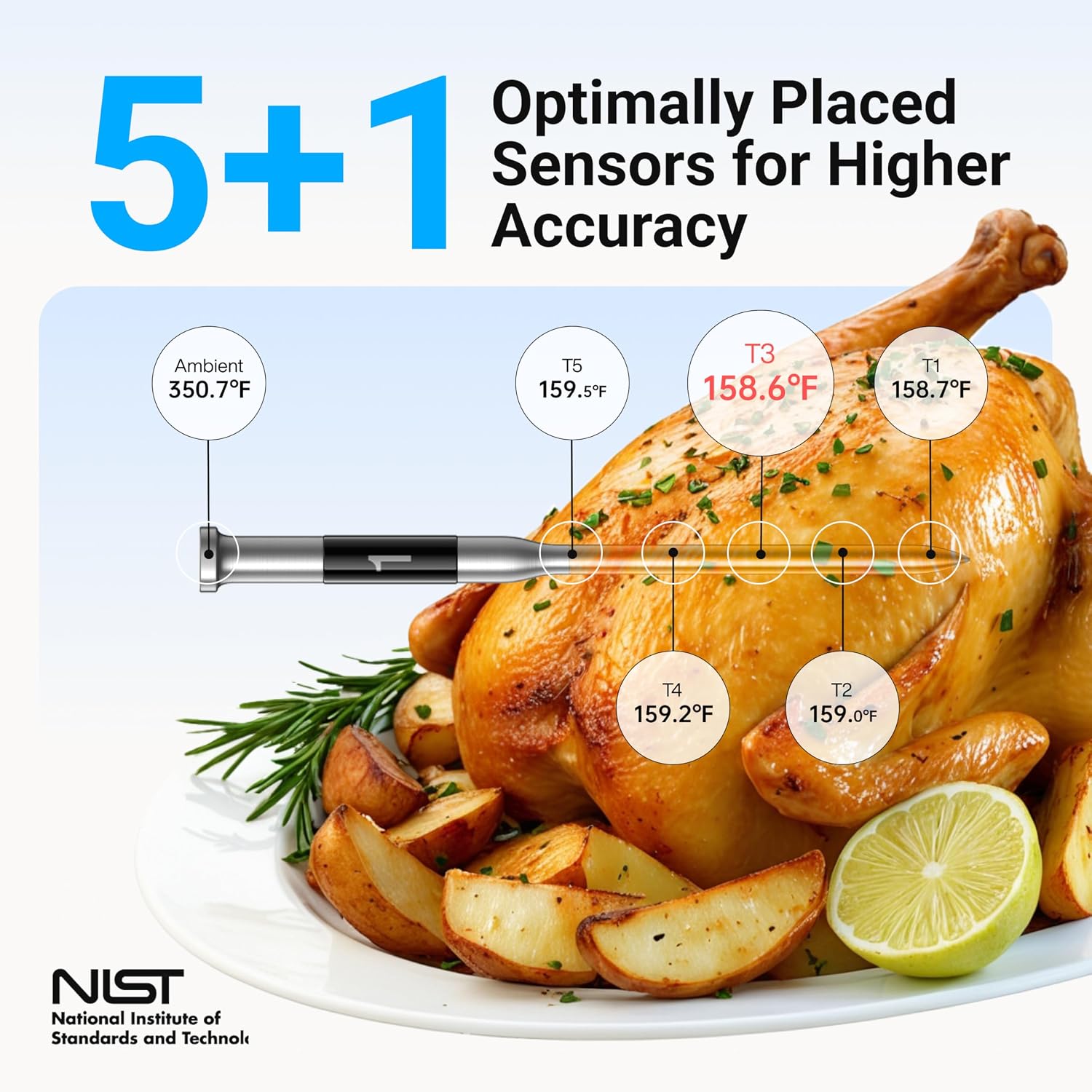 Detalle 2 de ThermoMaven P1 WT11 Wireless Meat Thermometer, 6 Sensors, Wi-Fi