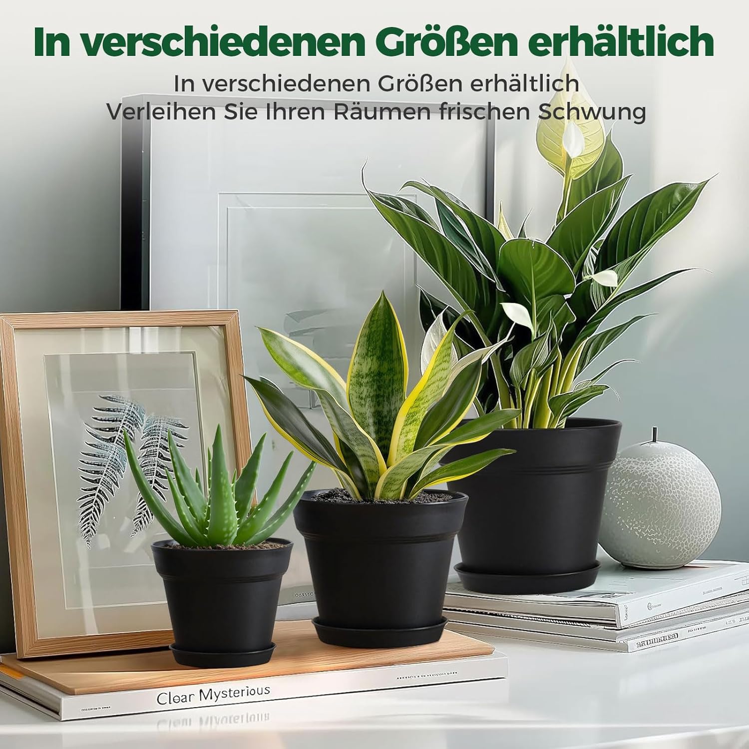 Thumbnail 4 de T4U Set di Vasi da Interno 19 cm con Sottovaso Nero – 6 Vasi Rotondi in Plastica con Fori di Drenaggio