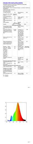 Thumbnail 14 de GPATIO Guirlande Guinguette Extérieur G40 – 18 m, 30+1 LED IP45, Blanc Chaud