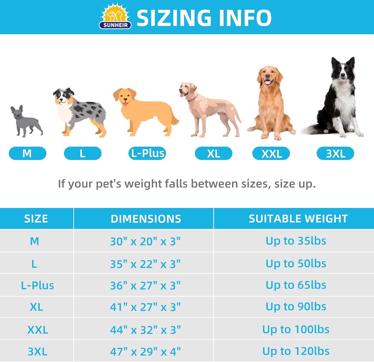 Detalle 2 de Sunheir Orthopedic Dog Bed 3-inch
