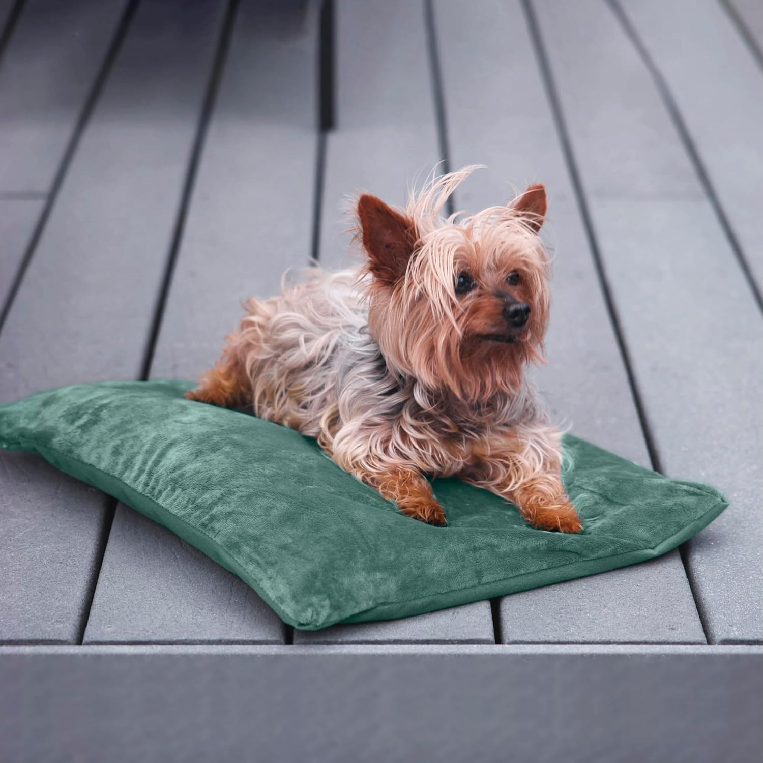 Thumbnail 6 de Petace Heated Cat Pad 27.5" x 15.7