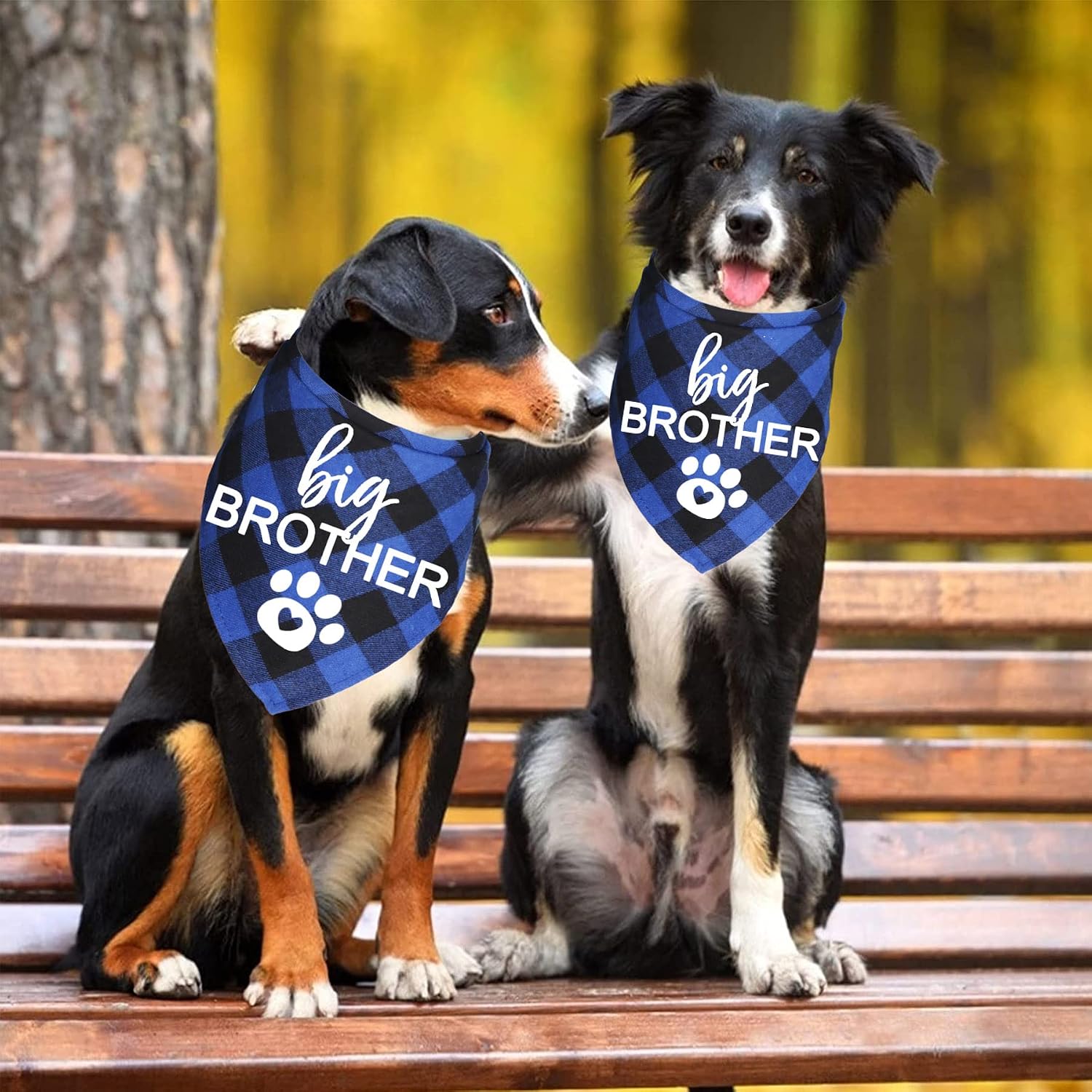 Detalle 2 de JOTFA Big Brother Dog Bandana Large