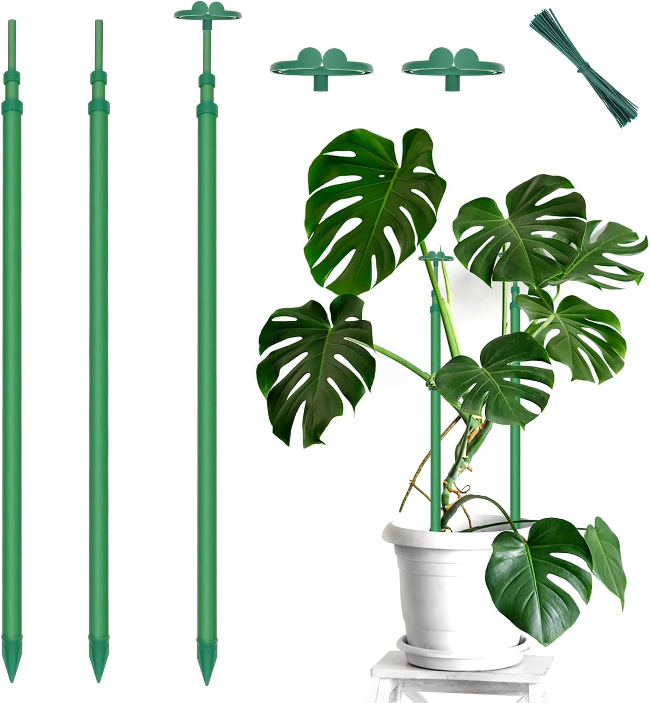 Detalle de BOVITRO XSSSG-3 Extendable Plant Stakes, Fiberglass, 17.9–42.3 Inches, 3-Pack