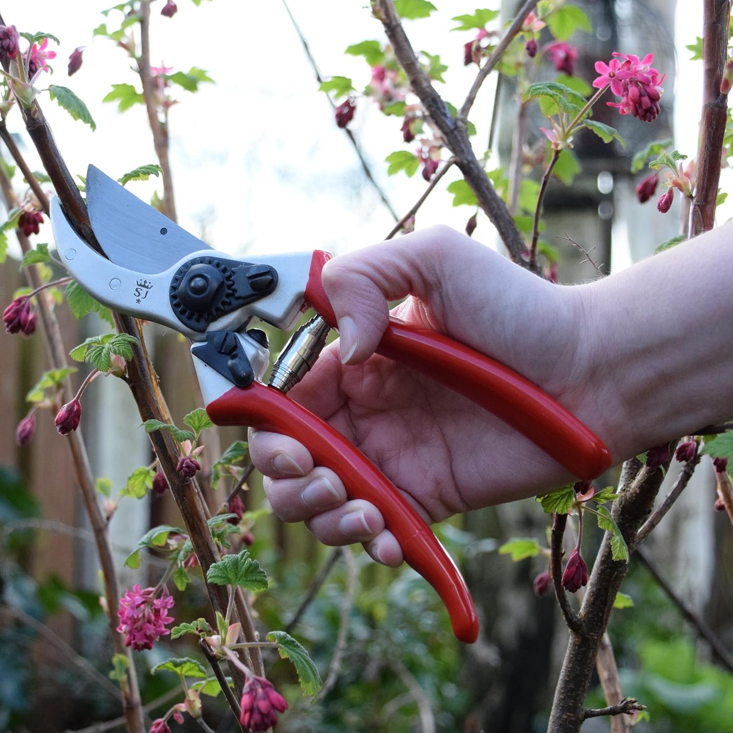Thumbnail 4 de Spear & Jackson 6659BS/13 Heavy Duty Bypass Secateurs