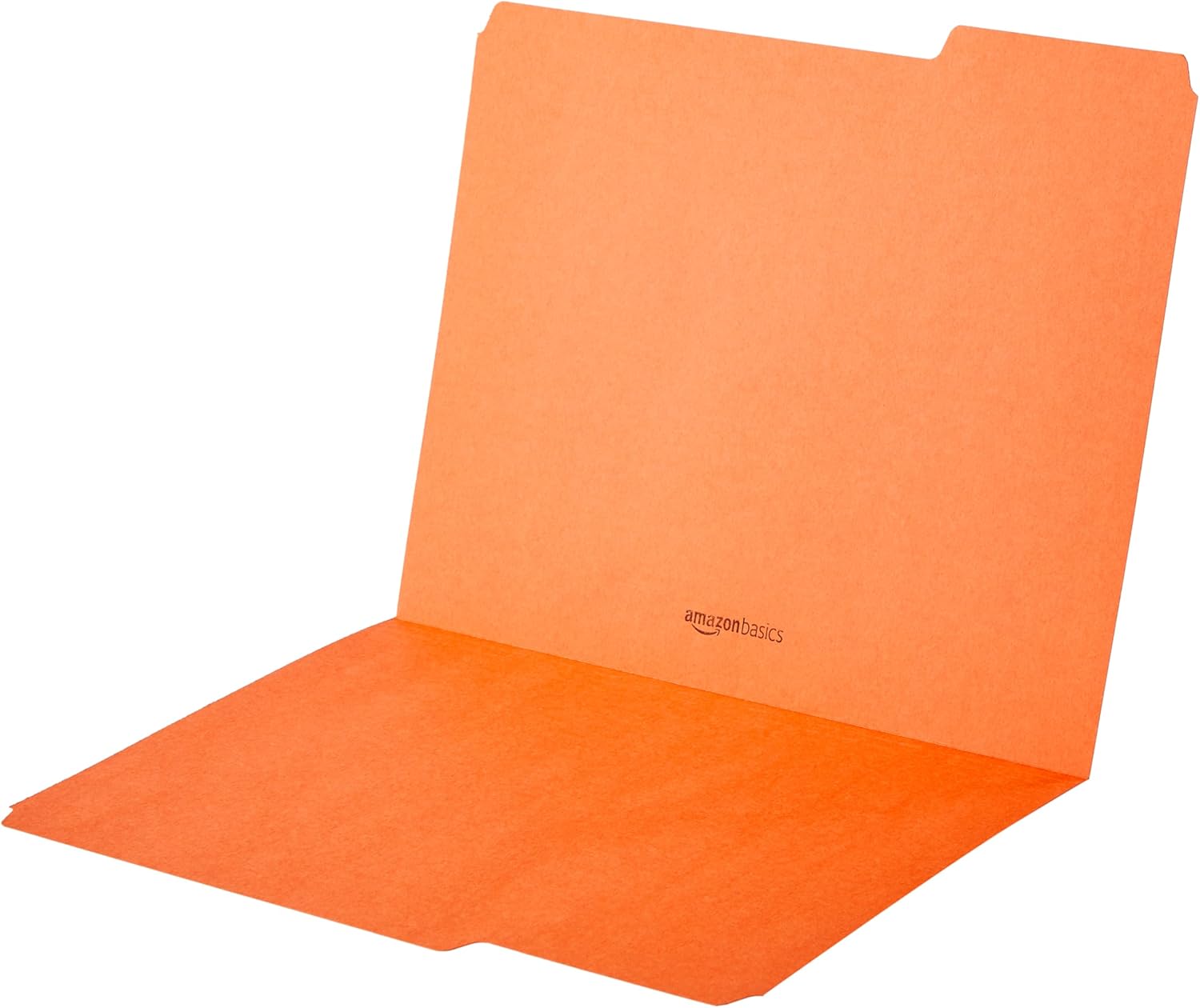 Thumbnail 3 de Amazon Basics 100-Count Letter-Size File Folders with Reinforced Tabs (AMZ401) in Assorted Colors
