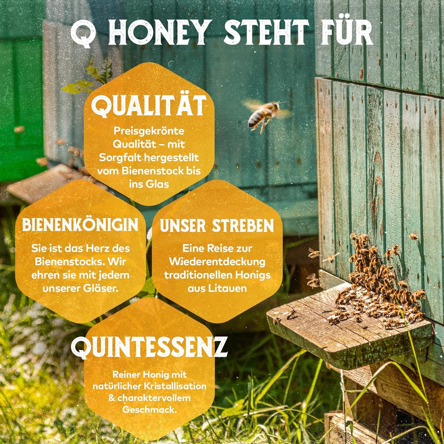 Thumbnail 5 de Q Honey Wildblütenhonig 1 kg 🍯