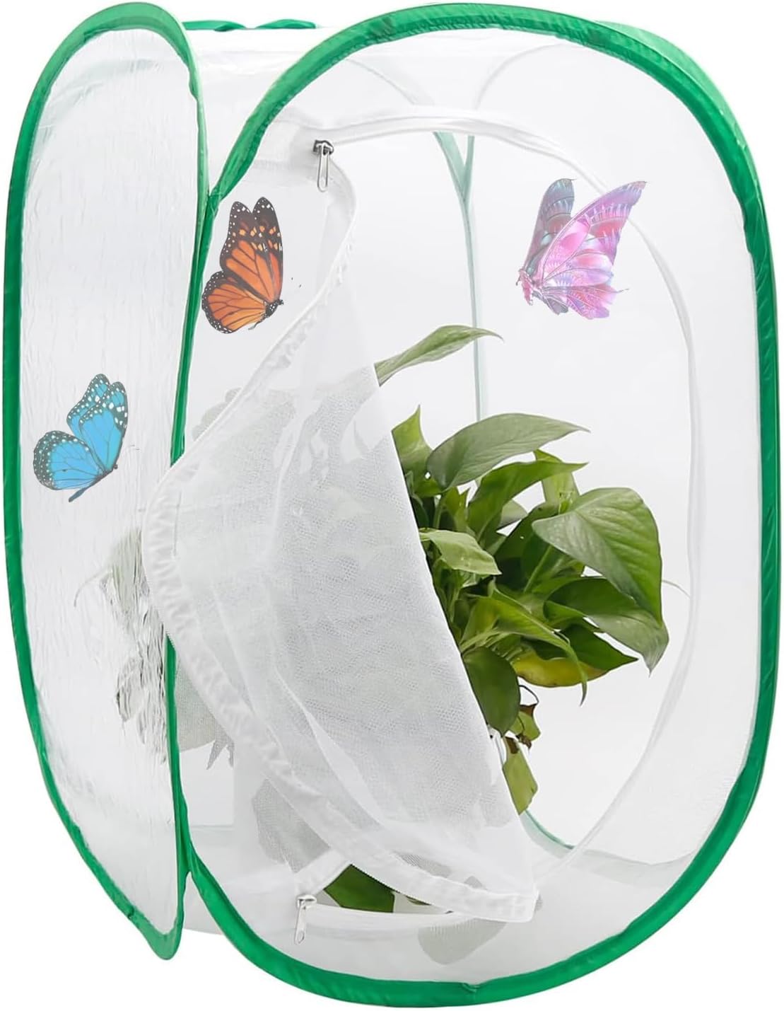 Butterfly and Insect Habitat Cage by Ompinda: Collapsible, Transparent Pop-up Enclosure for Caterpillars and Flying Insects