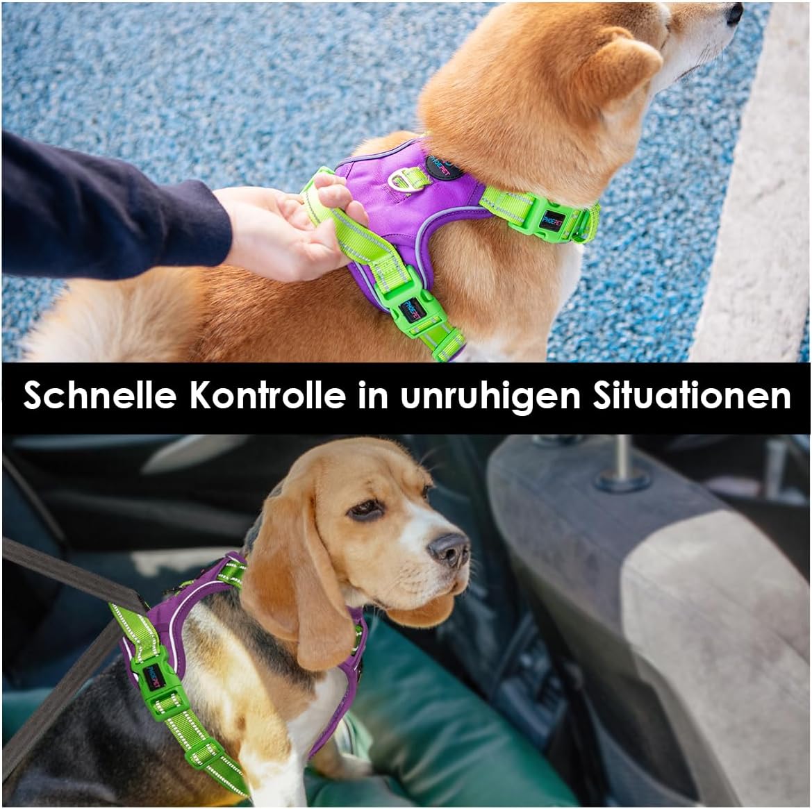 Detalle 2 de PHOEPET No-Pull Hundewestengeschirr mit verstellbaren Gurten und Reflexstreifen – Violett/Grün