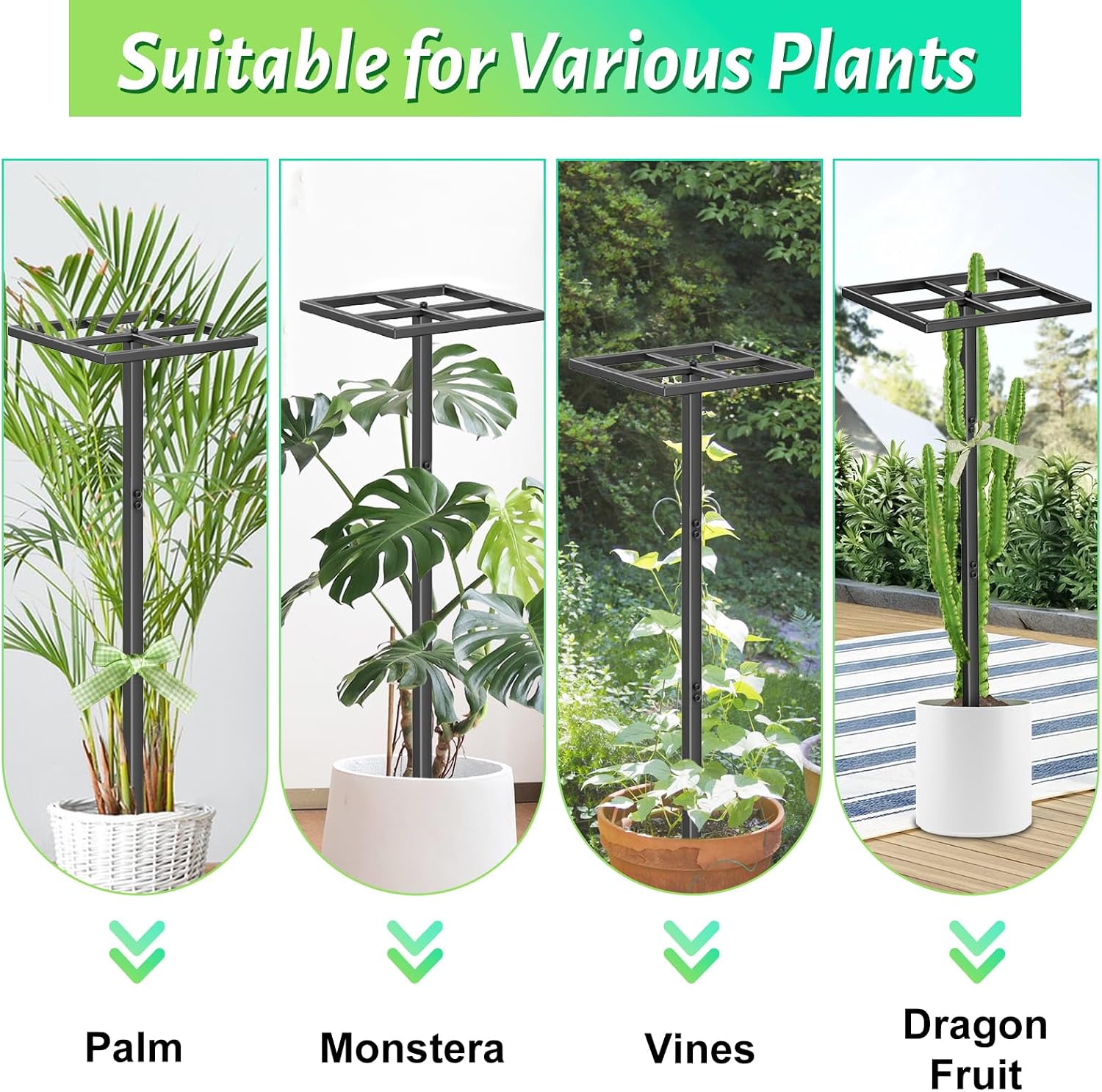 Detalle de ODSNANIE Metal Dragon Fruit Trellis, 44" Adjustable Vertical Support