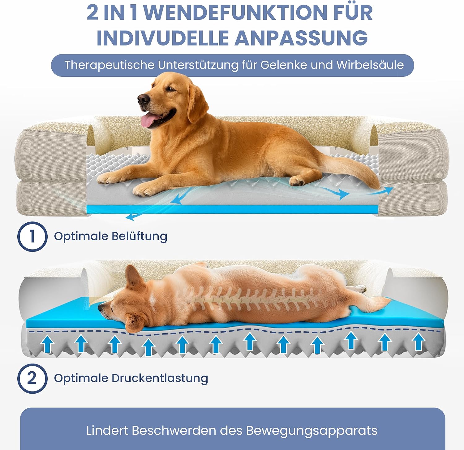 Thumbnail 2 de ELONEO orthopädisches Hundebett 106×76×19 cm
