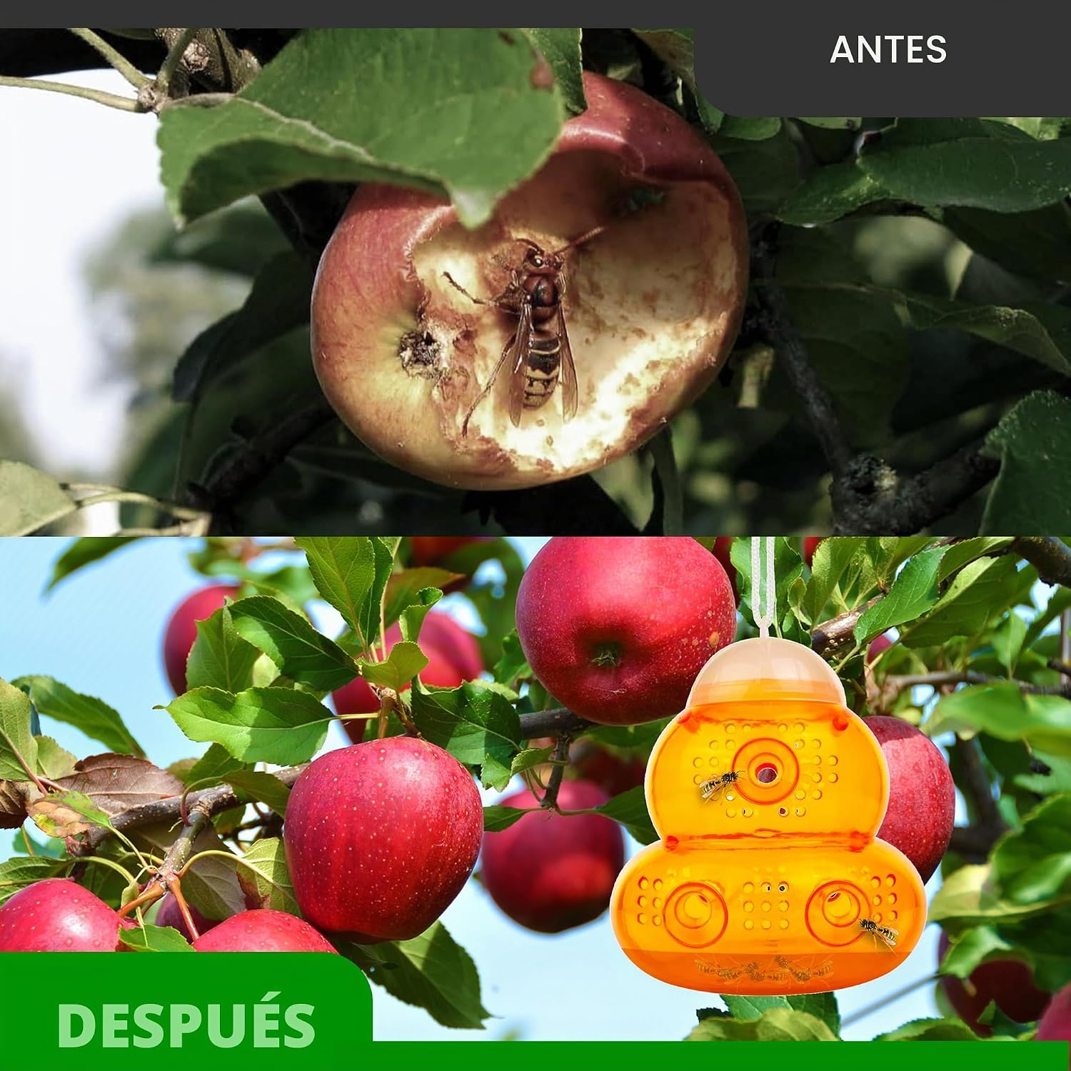 Detalle de ASPECTEK Trampa para Avispas 2 unidades