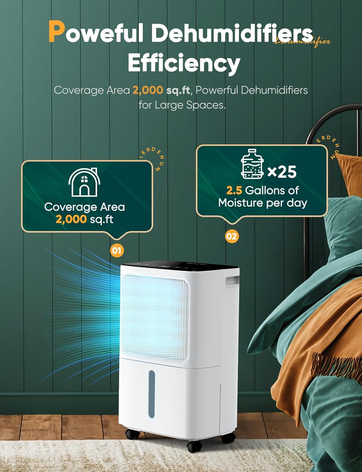 Detalle 2 de Dehumidifier for Home Damp with Humidity Display