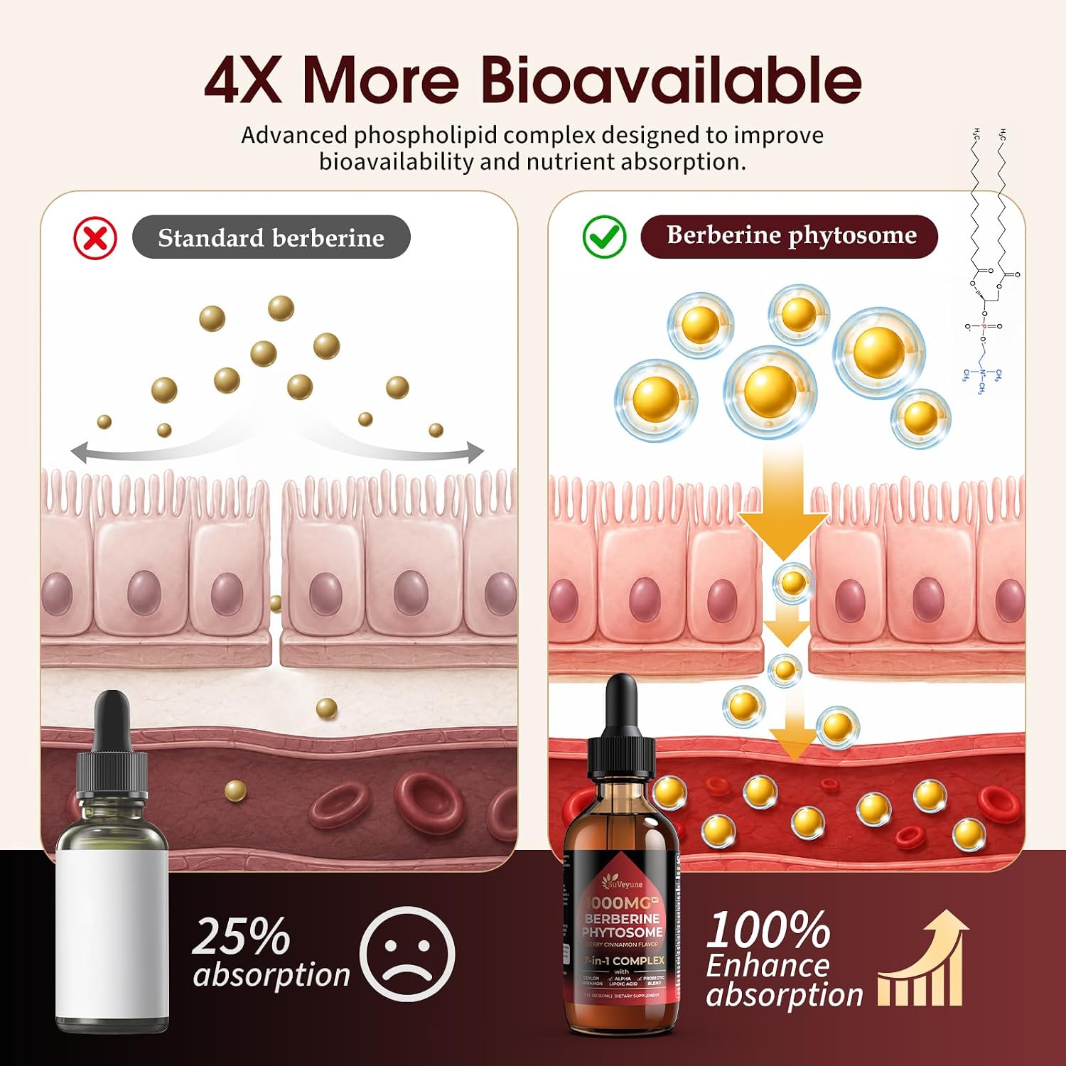 Detalle de Berberine Liquid Supplement 1000 mg