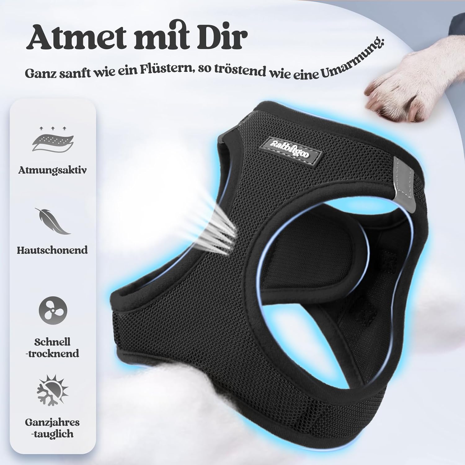 Detalle 2 de Rabbitgoo Hundegeschirr S mit Leine 1,56 m