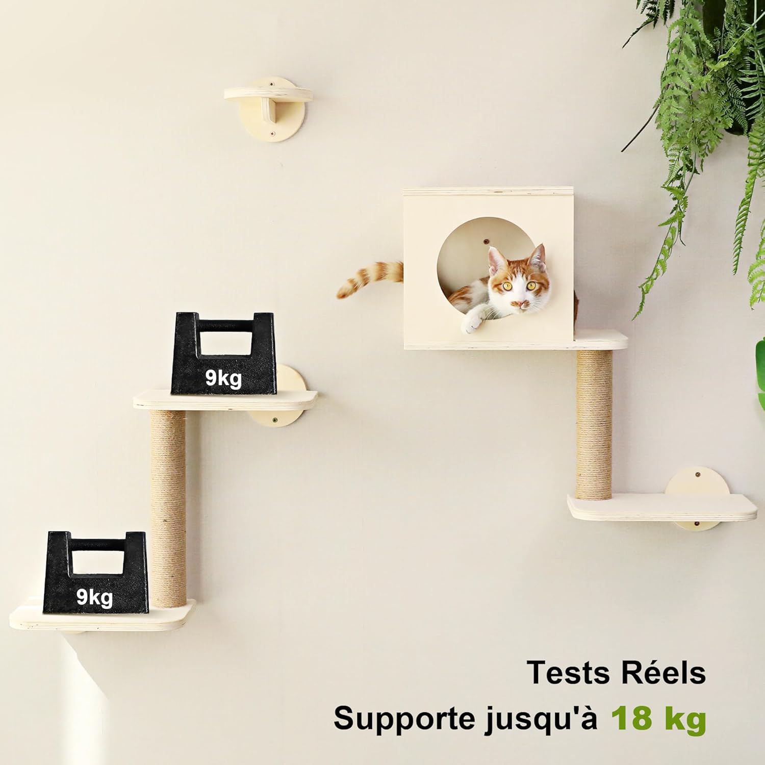 Thumbnail 6 de FUKUMARU Étagères murales pour chat (set de 5) beige : parcours mural avec hamac et zones à griffer