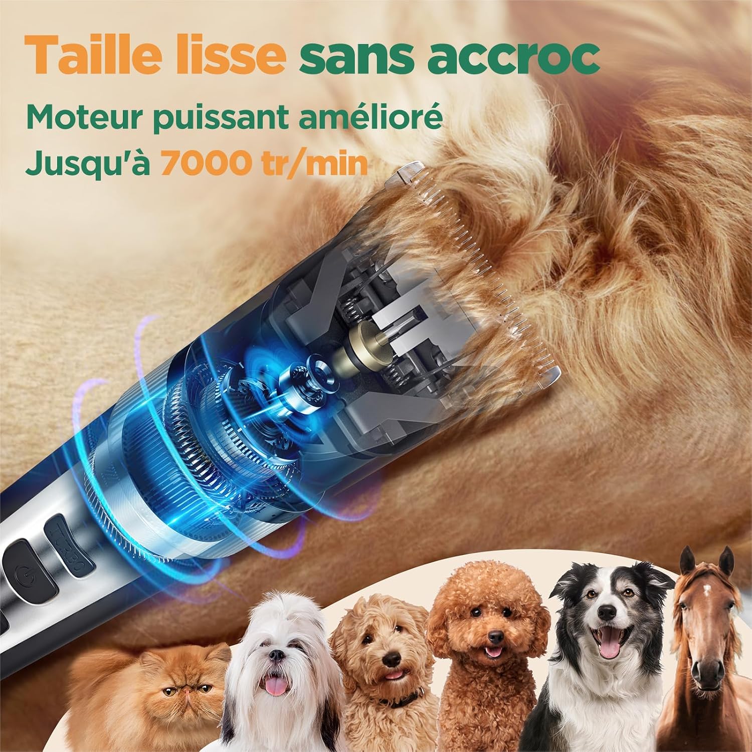 Detalle 1 de Gimars 4 en 1 Tondeuse Pour Chien Sans Fil