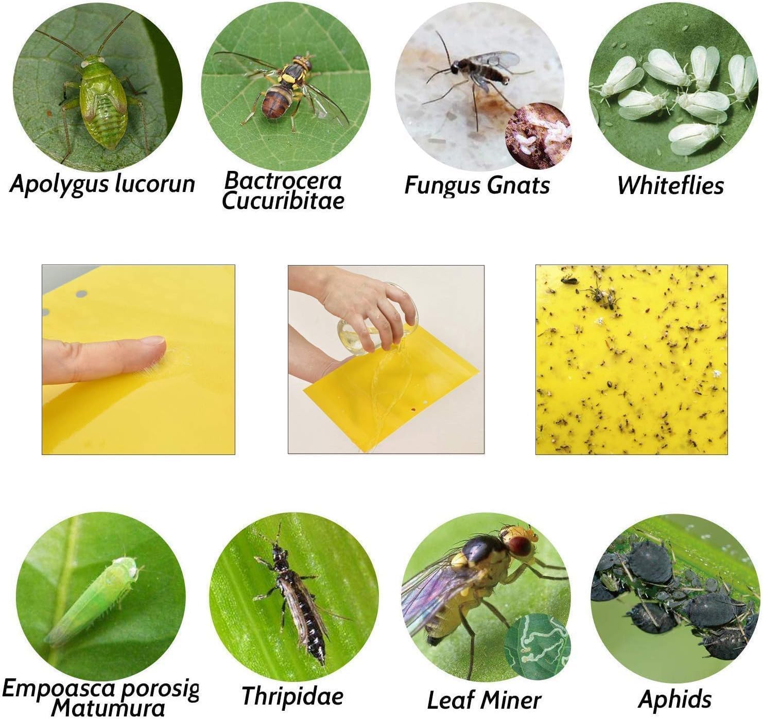 Detalle de BestTrap Yellow Sticky Fly Traps (Fly Paper Stickers) Dual-Side, 20-Pack (6x8 inches, twist ties included)
