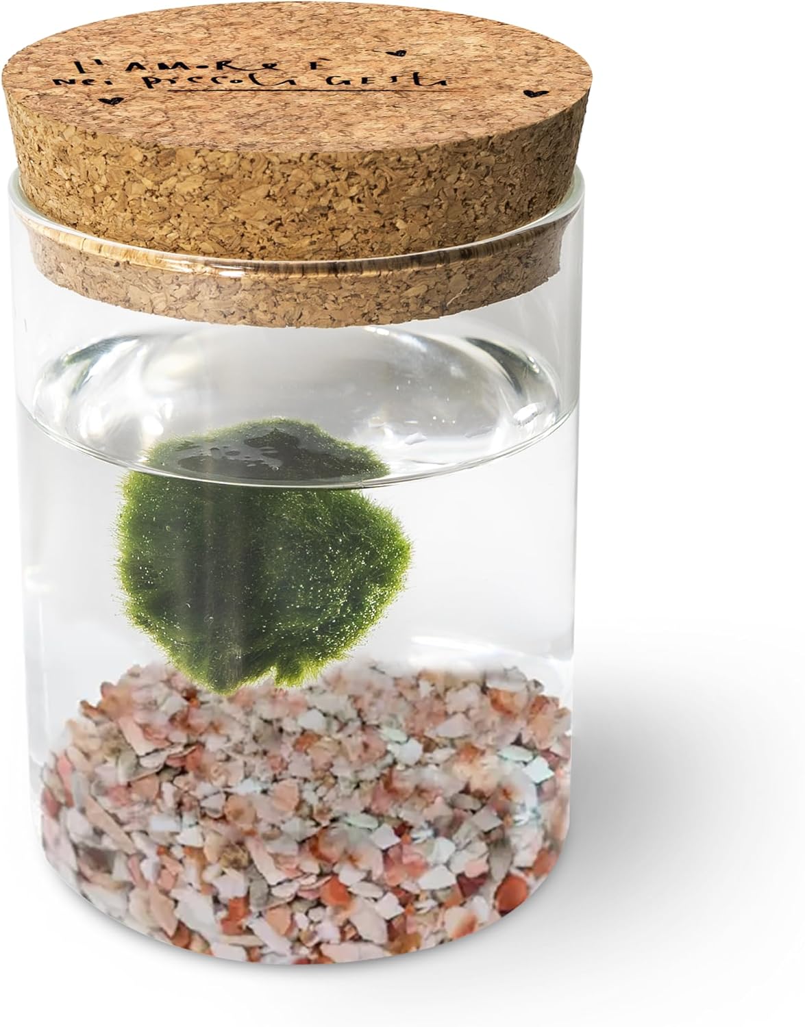 Detalle de Marimo originale in vaso di vetro con tappo in sughero L’Amore - La Felicità è Nelle Piccole Cose (Made in Italy)