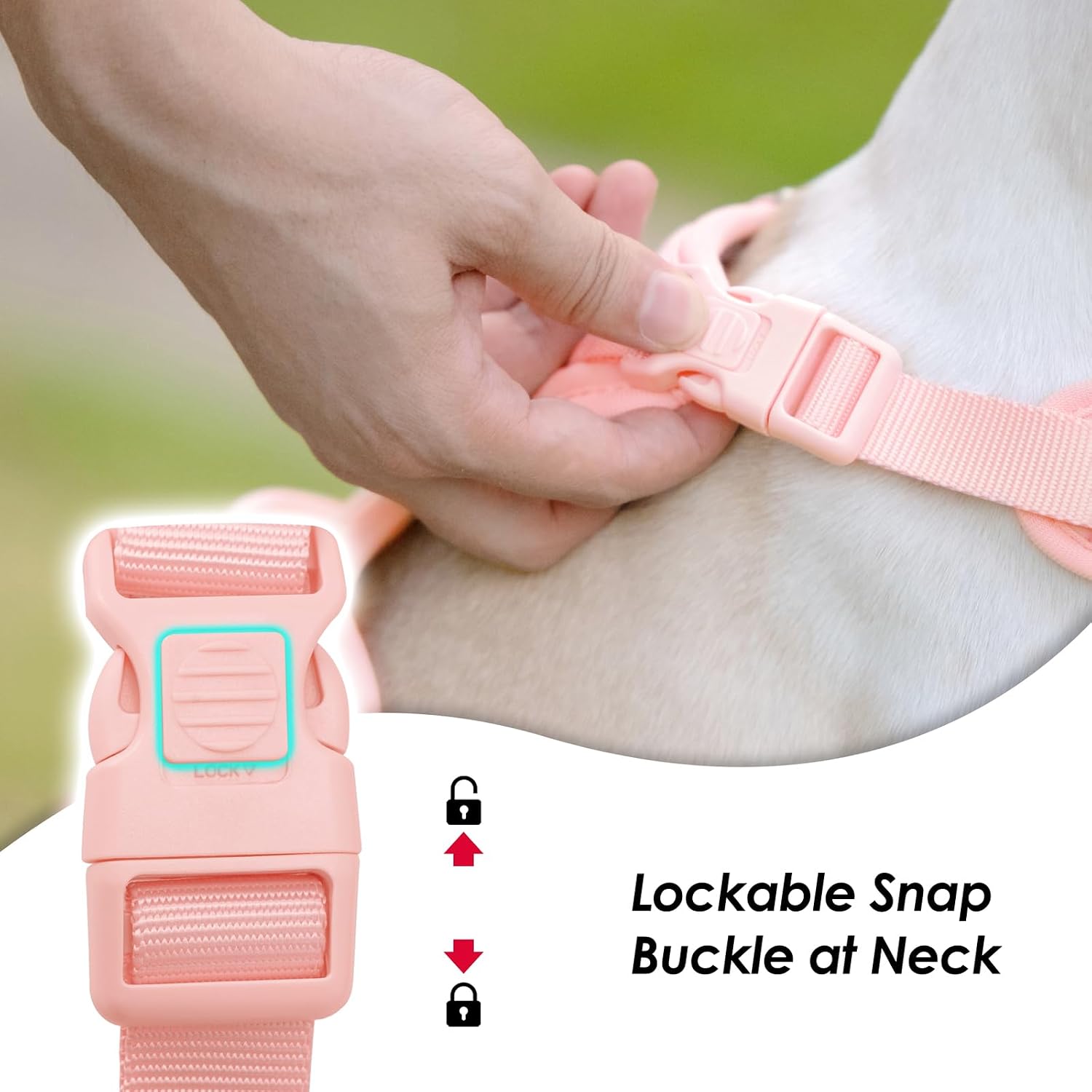 Detalle 2 de Sunraymascota Dog Harness XL