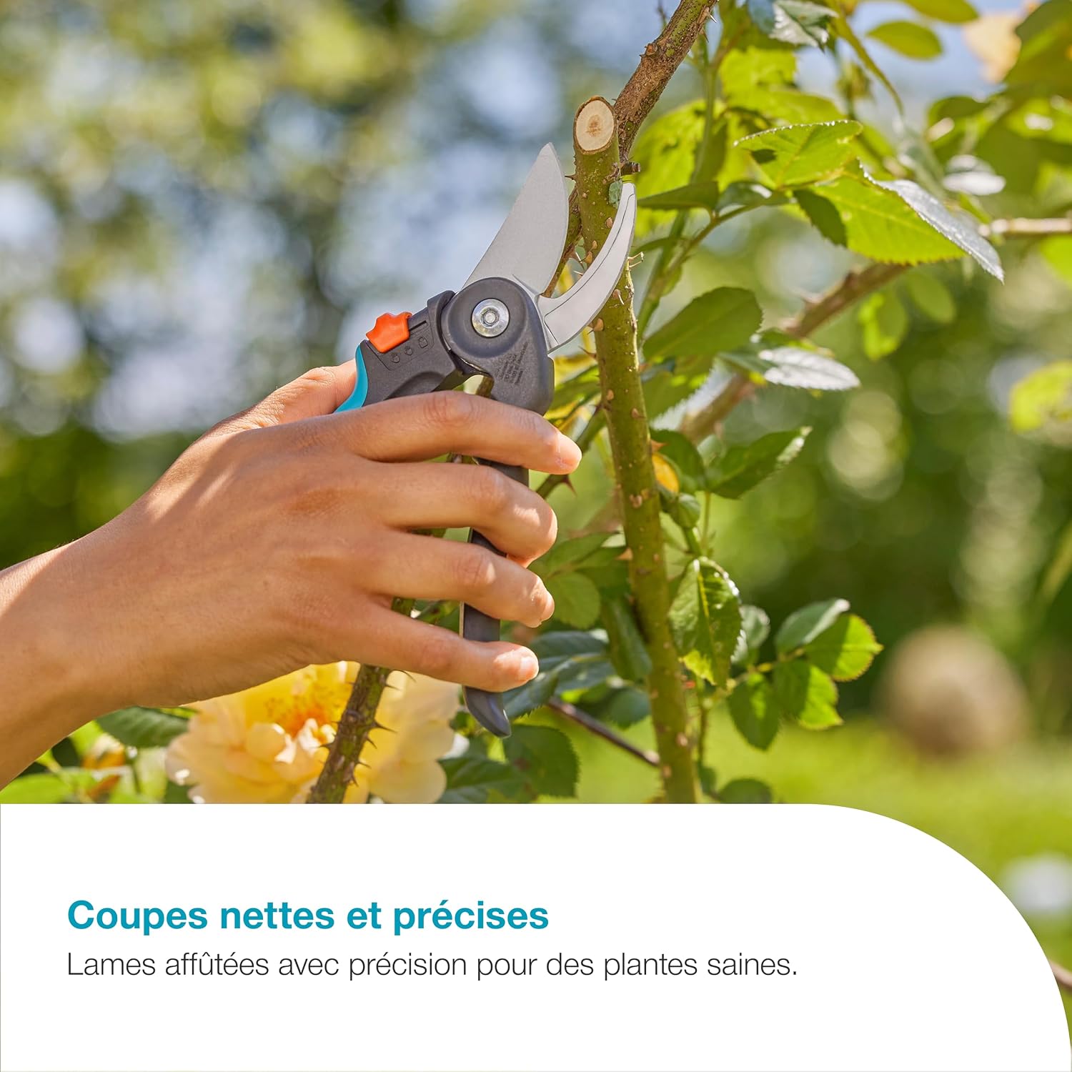 Detalle de Gardena PremiumCut Flex 12242-20 : sécateur à dérivation pour bois frais, douceur d’usage et coupe précise