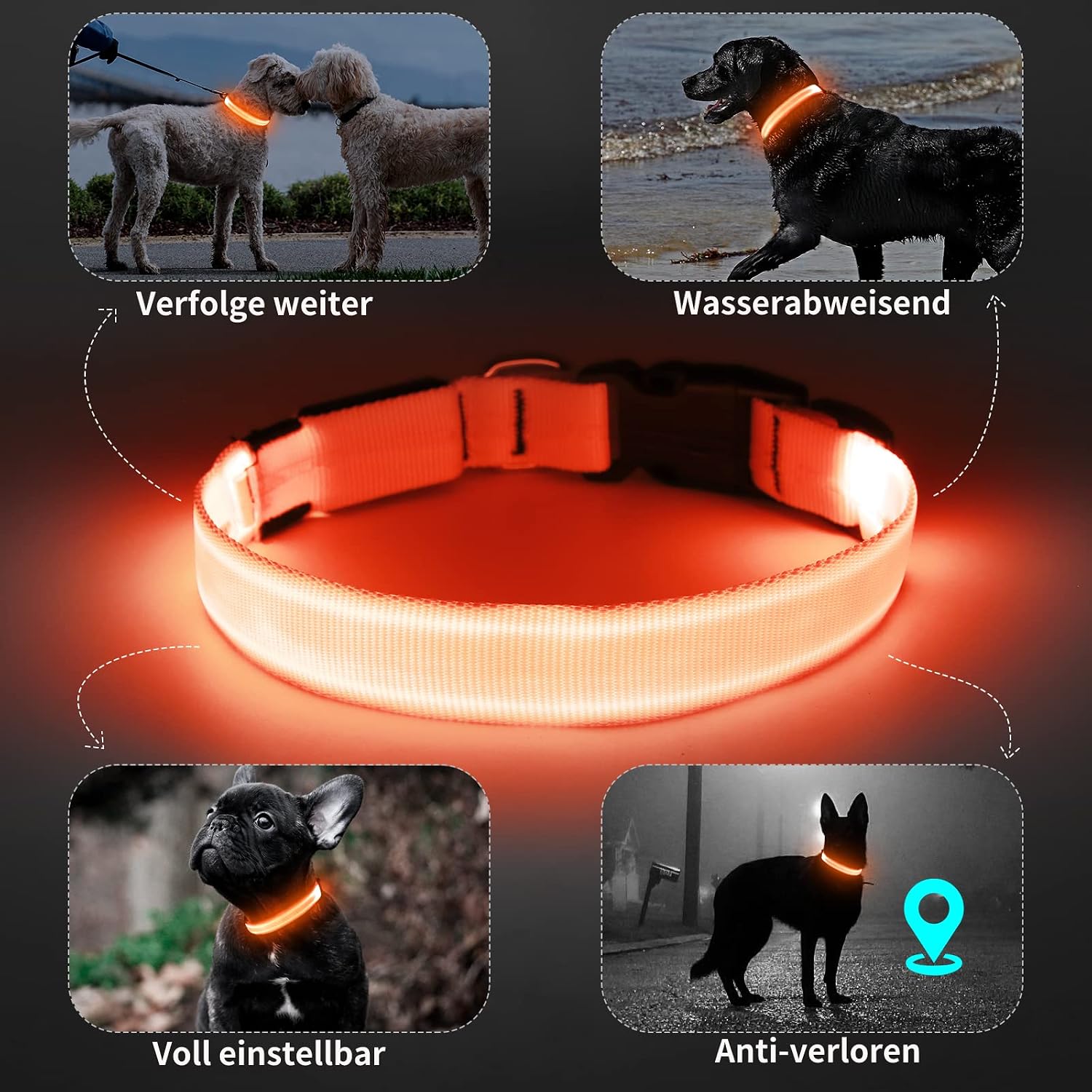 Thumbnail 6 de KOSKILL Leuchthalsband für Hunde, USB-wiederaufladbar (Orange, L)