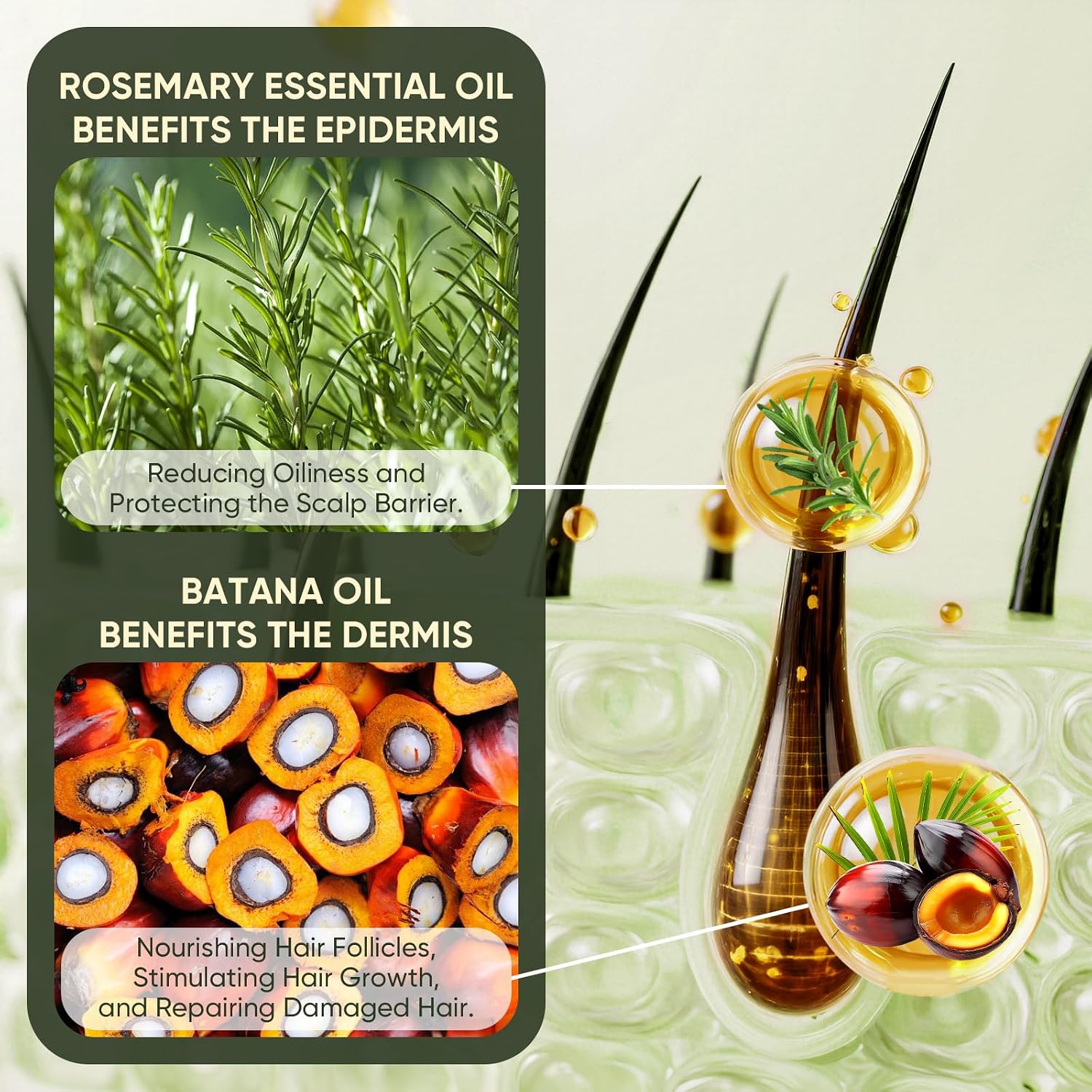 Detalle de Agodafoo Batana Oil Shampoo with Rosemary Oil, 10.58 fl oz